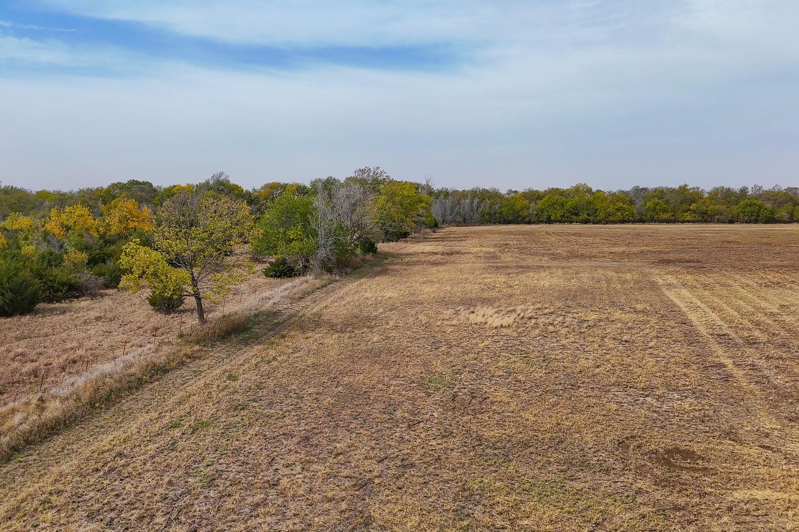 7.3 +/- Acres On Sw 220th #TRACT 3, Douglass, Kansas image 8