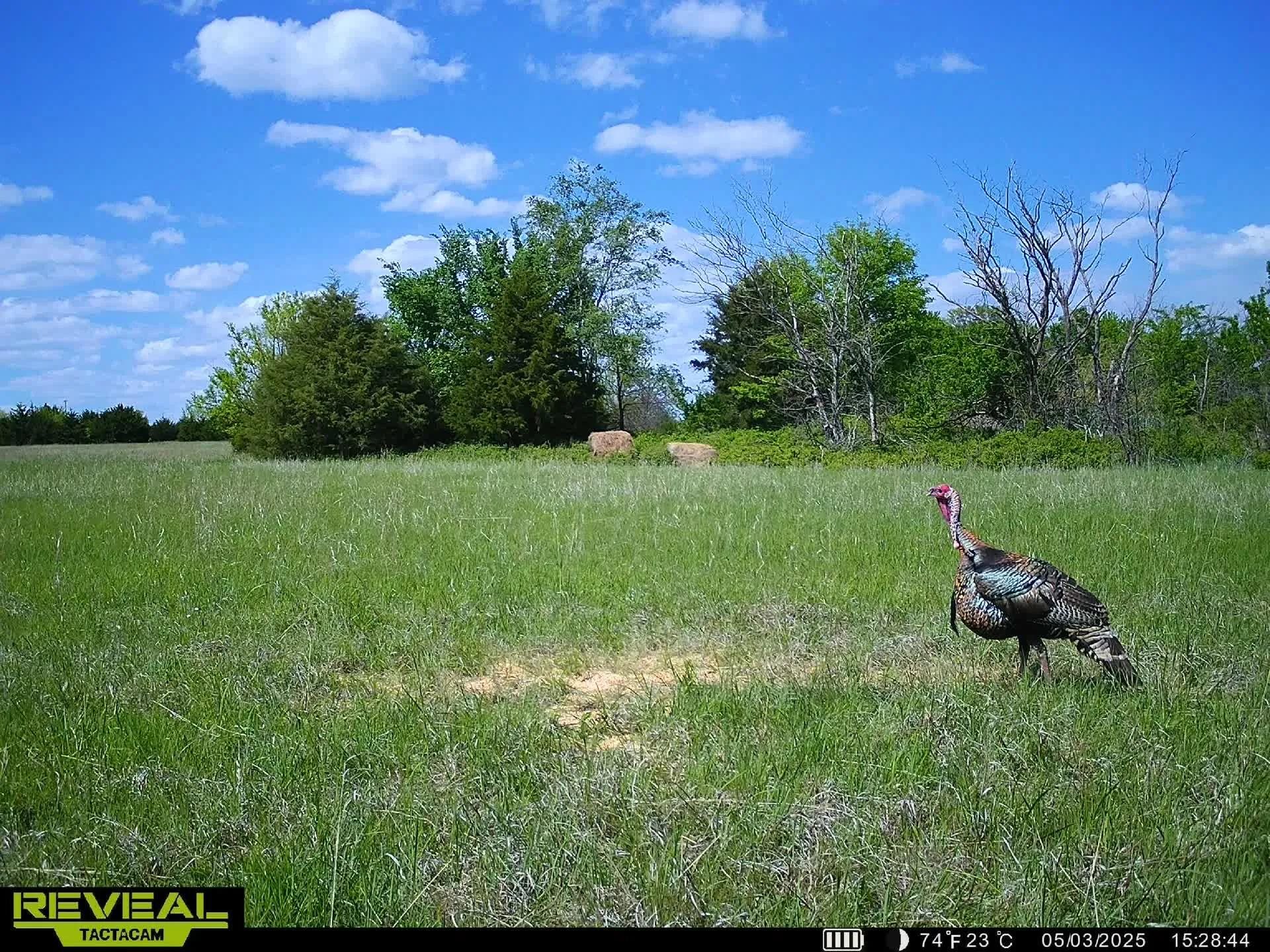10198 SE Teter Rd, Leon, Kansas image 32