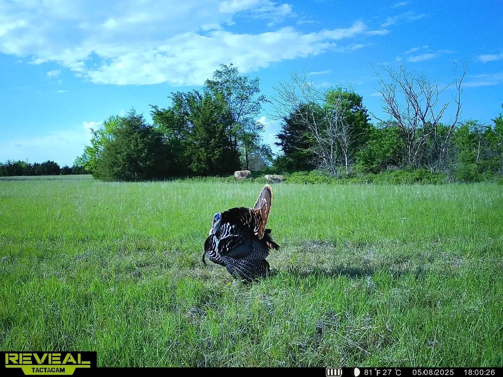 10198 SE Teter Rd, Leon, Kansas image 33