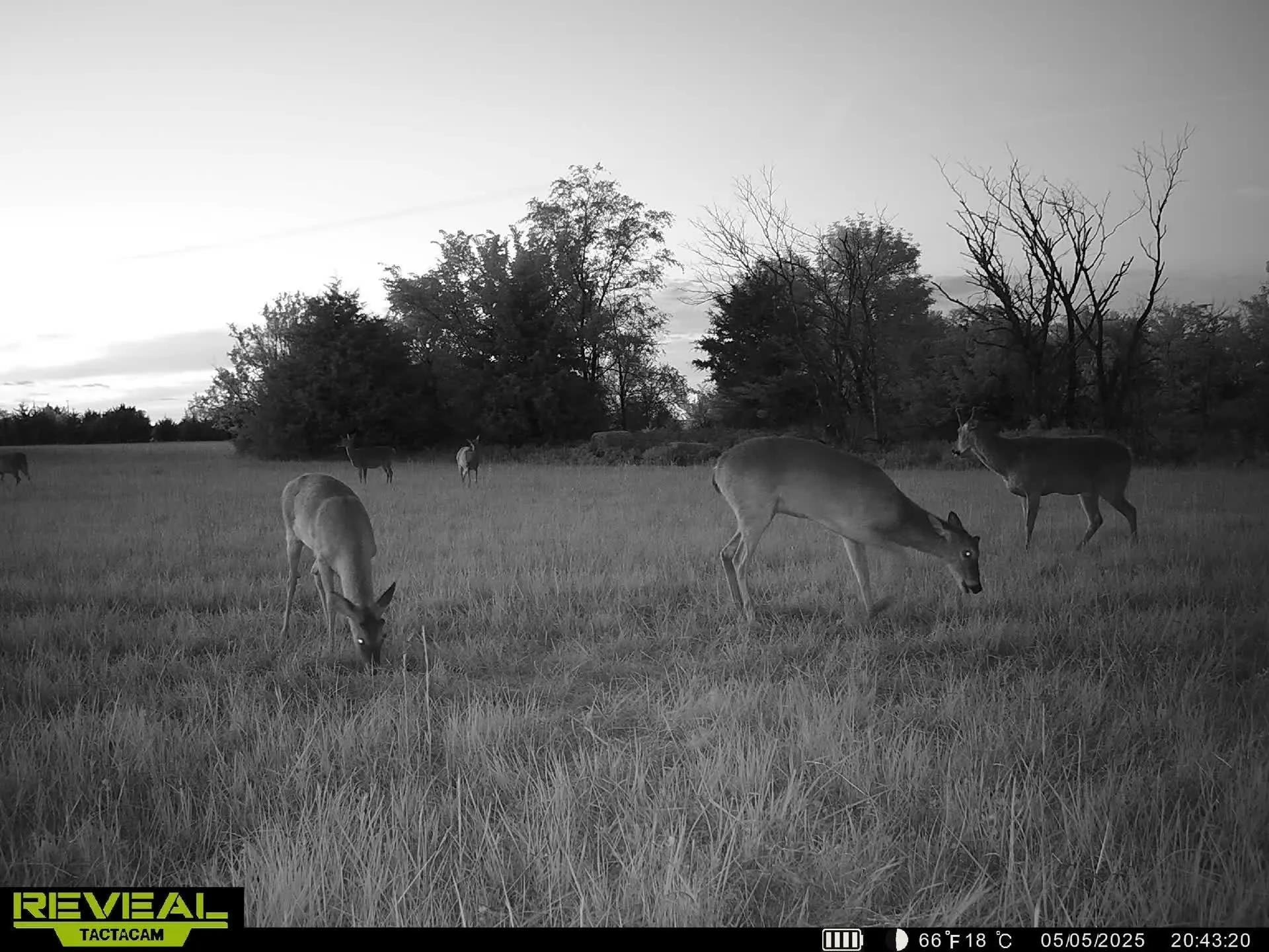 10198 SE Teter Rd, Leon, Kansas image 35