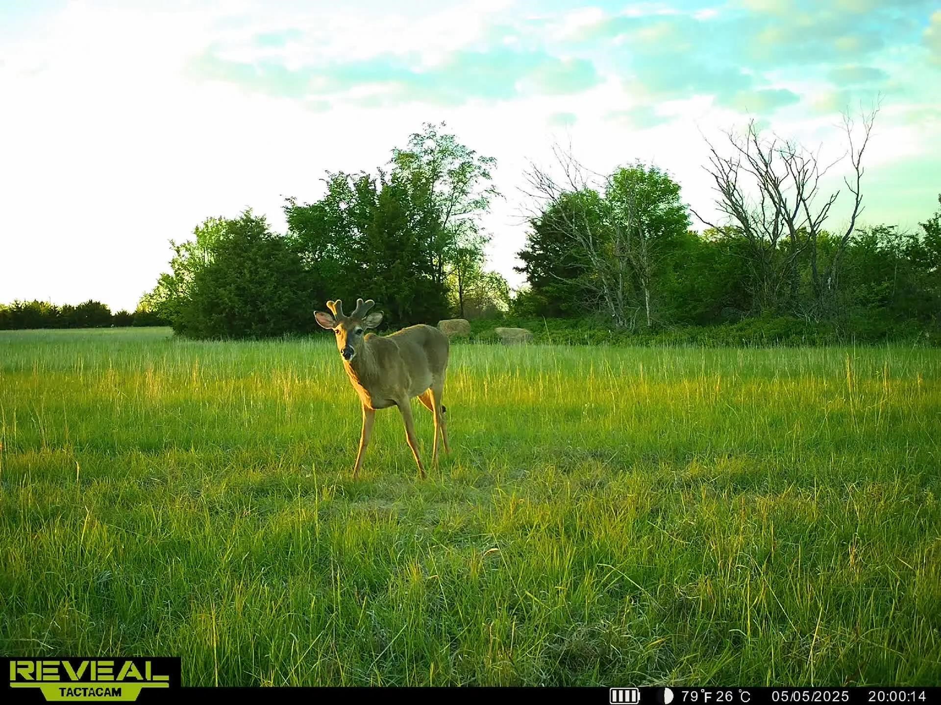 10198 SE Teter Rd, Leon, Kansas image 34
