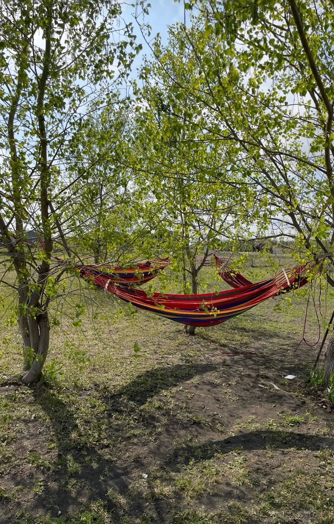 Wichita, Kansas 67210, United States, 3 Bedrooms Bedrooms, ,3 BathroomsBathrooms,Residential,Active,218836