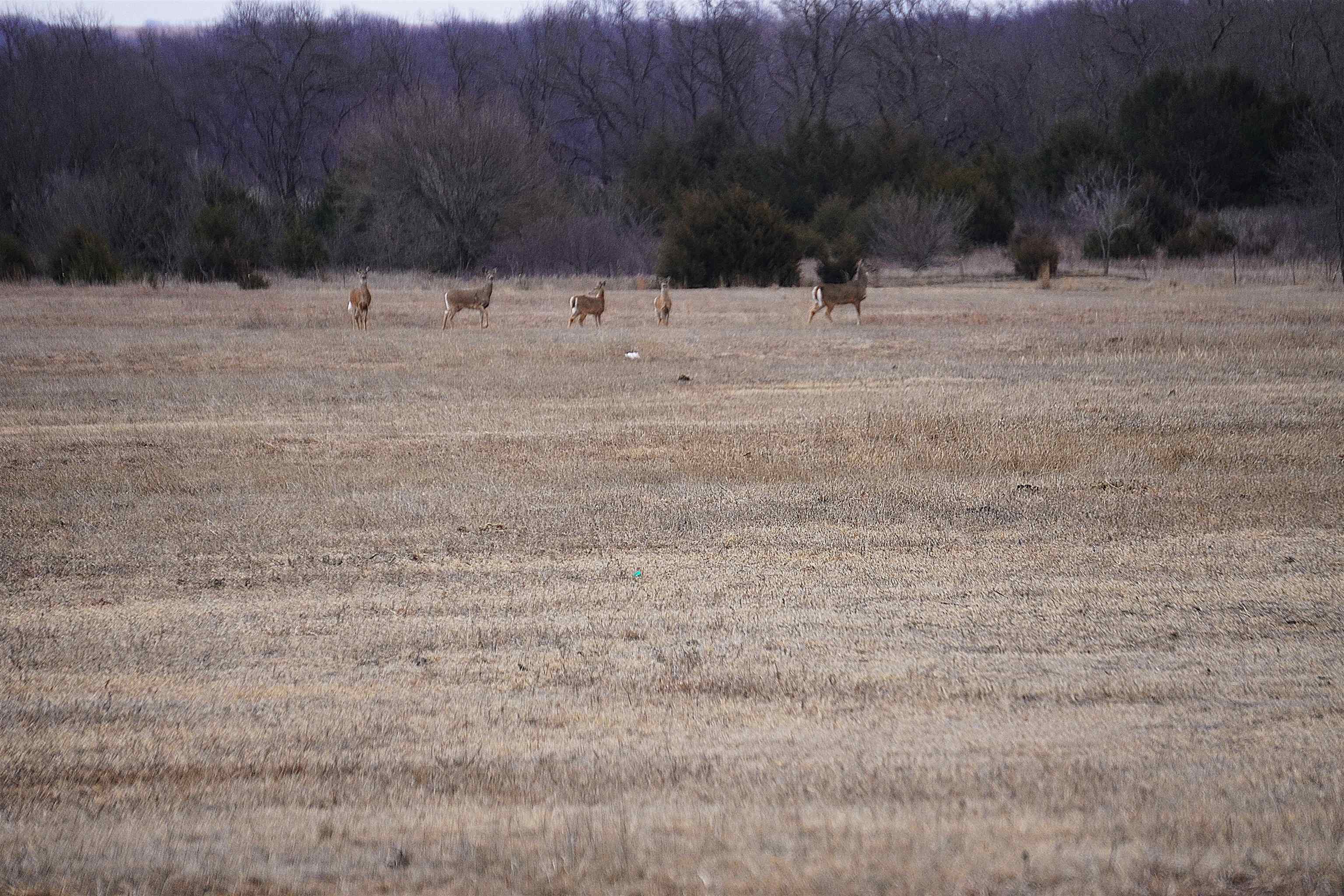 0000 51st Rd, Douglass, Kansas image 25