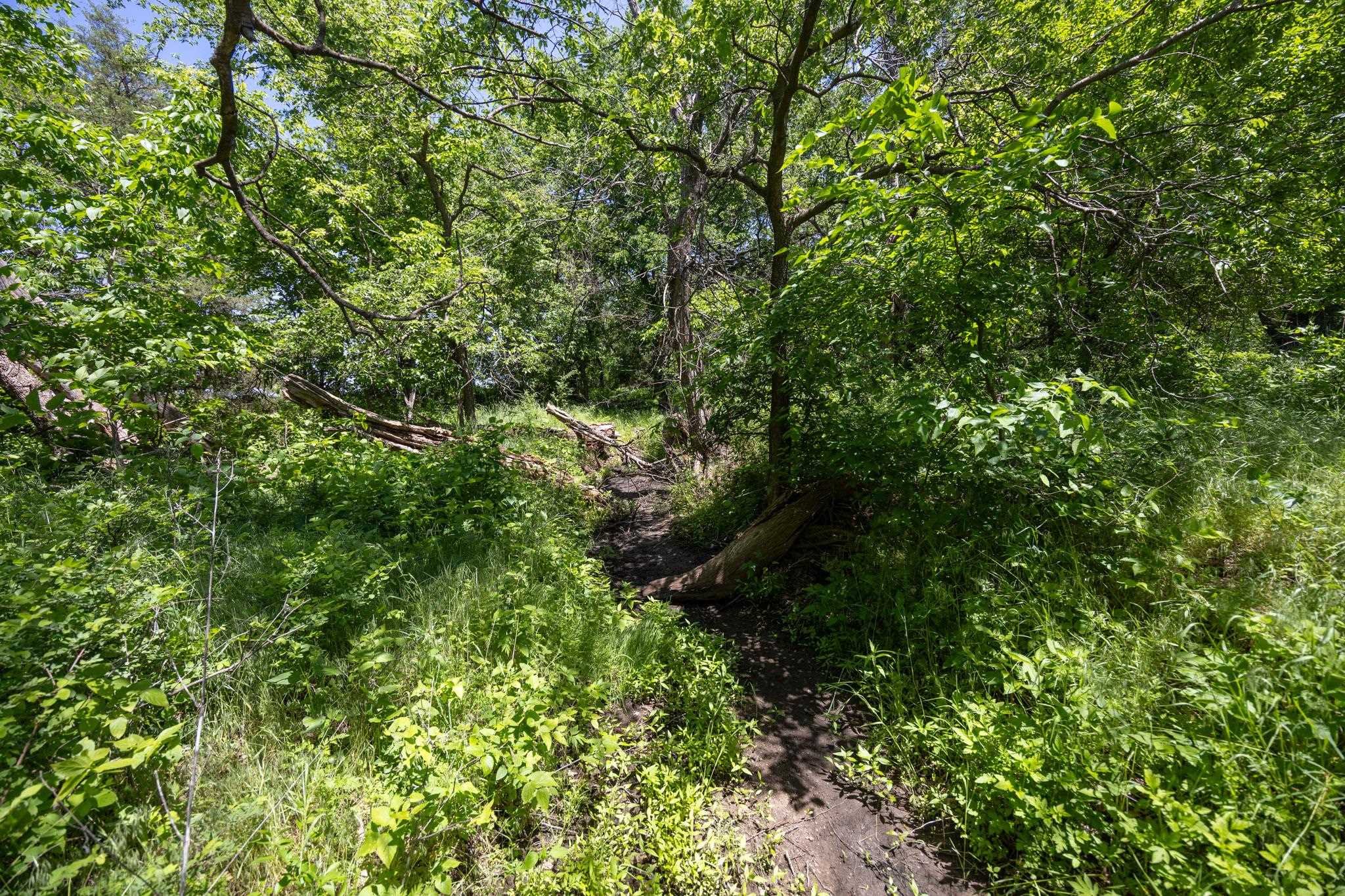 0000 SE 120 St, Norwich, Kansas image 32