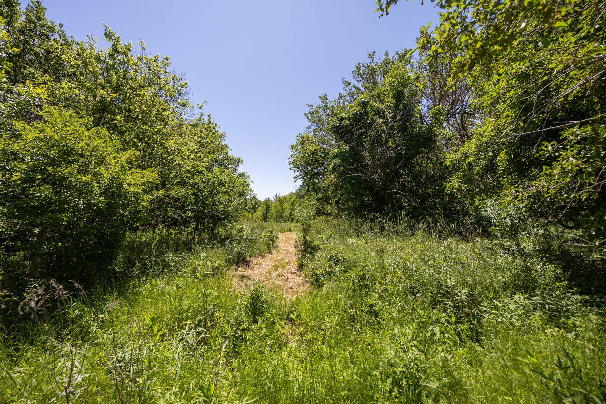 0000 SE 120 St, Norwich, Kansas image 30