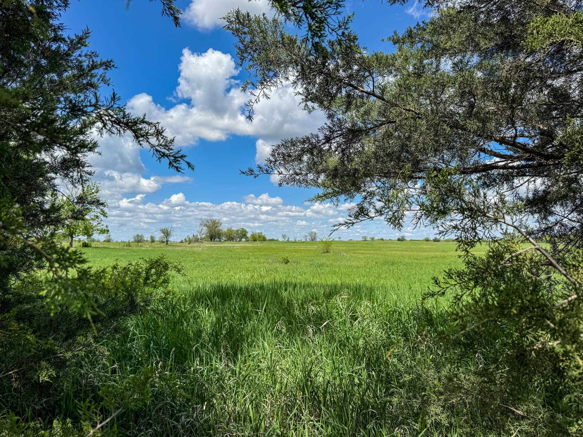 000 Hwy 77, Augusta, Kansas image 32