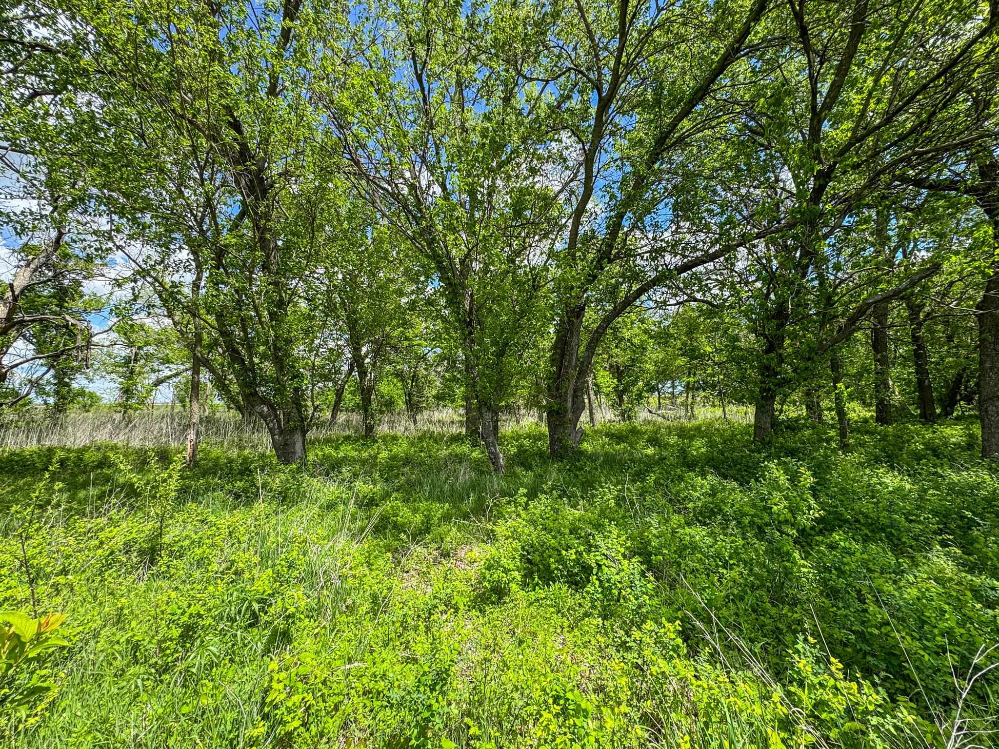 000 Hwy 77, Augusta, Kansas image 17