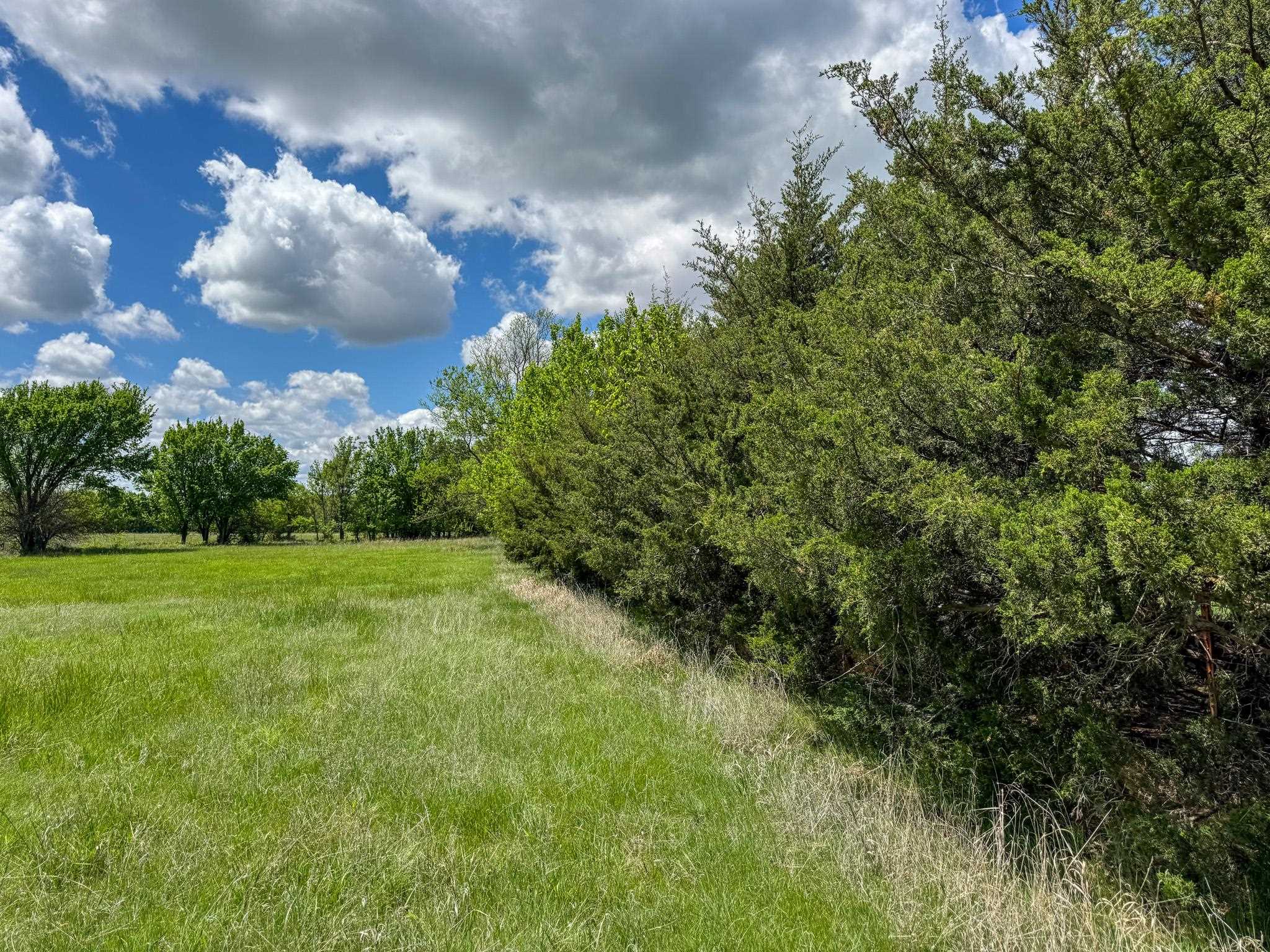 000 Hwy 77, Augusta, Kansas image 13