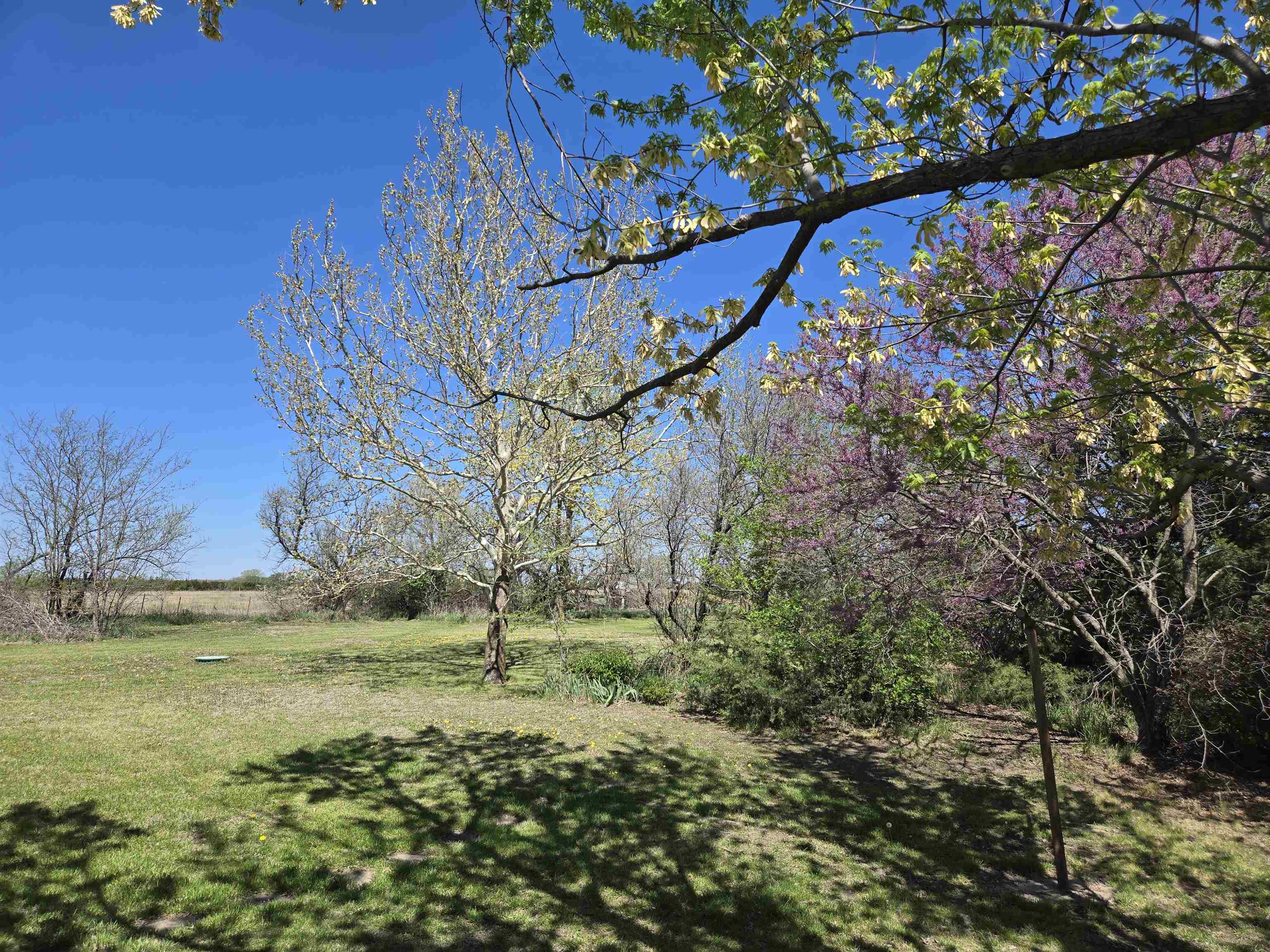 13100 E 53rd St N St, Wichita, Virginia image 3
