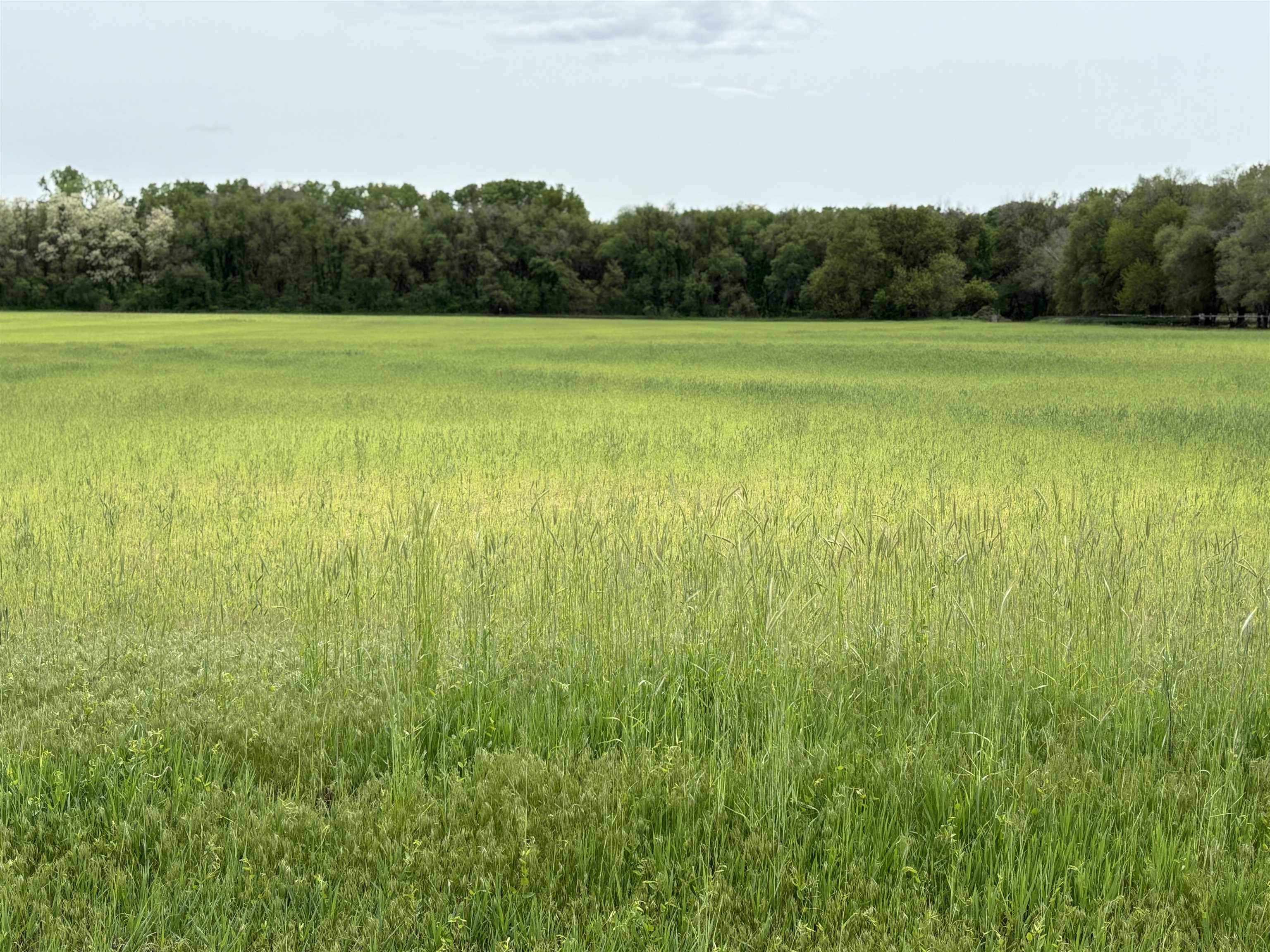 7501 W 53rd St N St, Maize, Kansas image 1