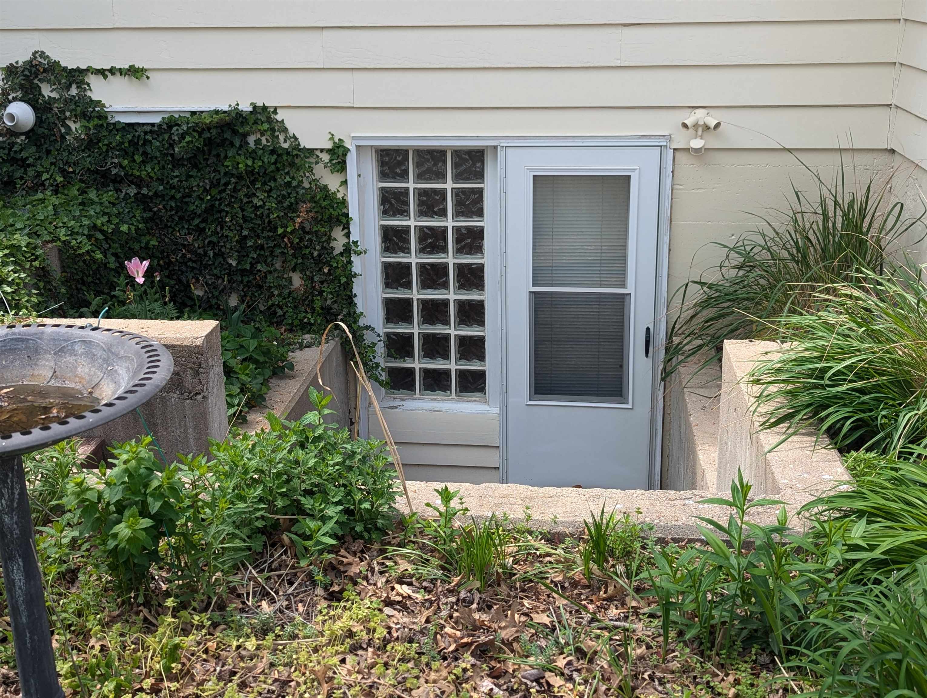 114 N Adams St, Hillsboro, Kansas image 5