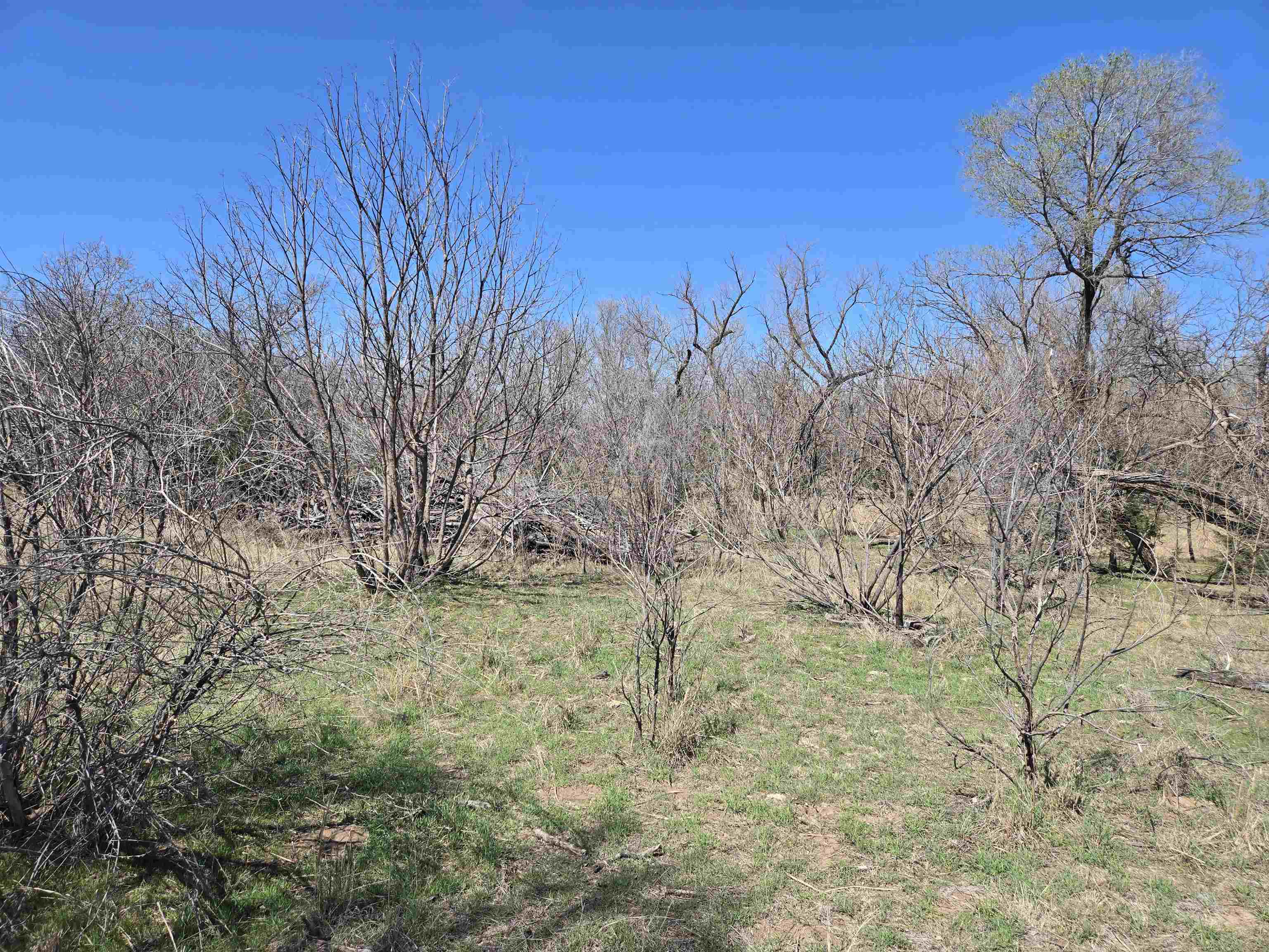 0000 Hodge Rd, Arlington, Kansas image 15