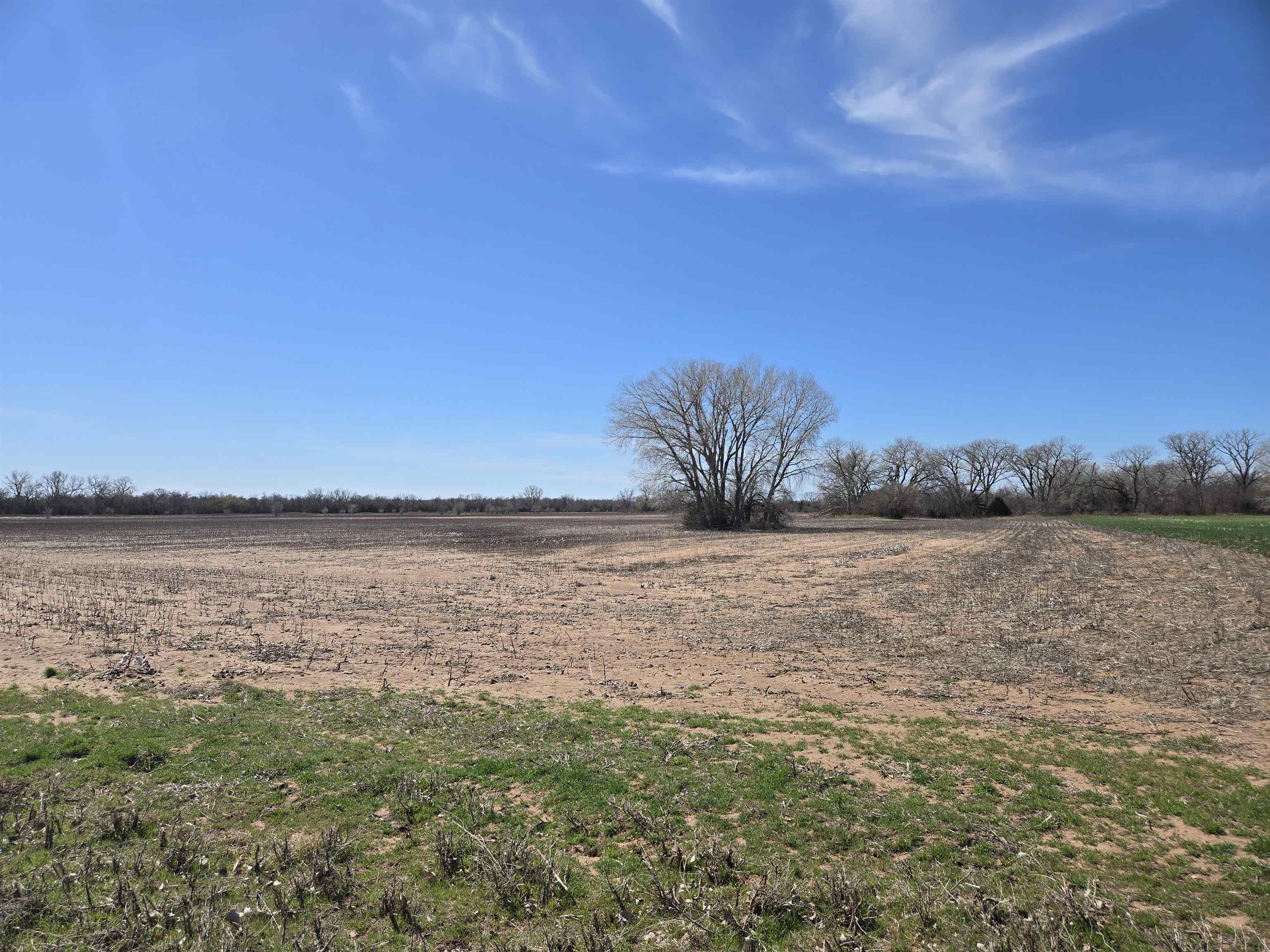 0000 Hodge Rd, Arlington, Kansas image 26