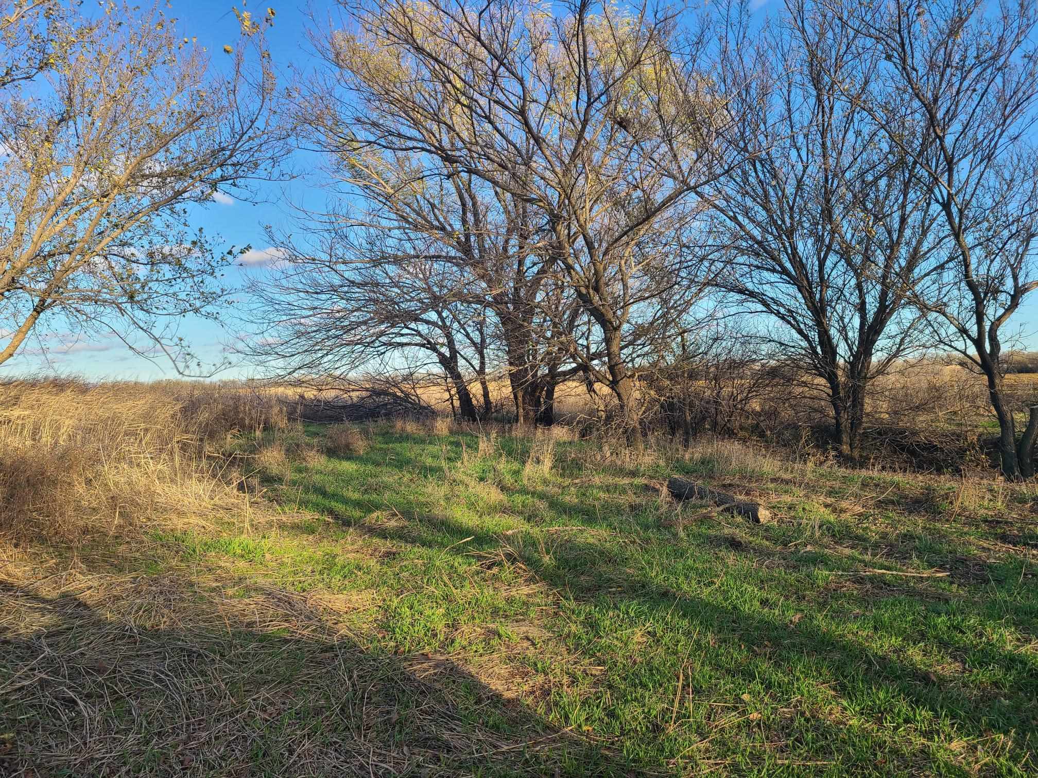 10046 42nd Rd, Rock, Kansas image 19