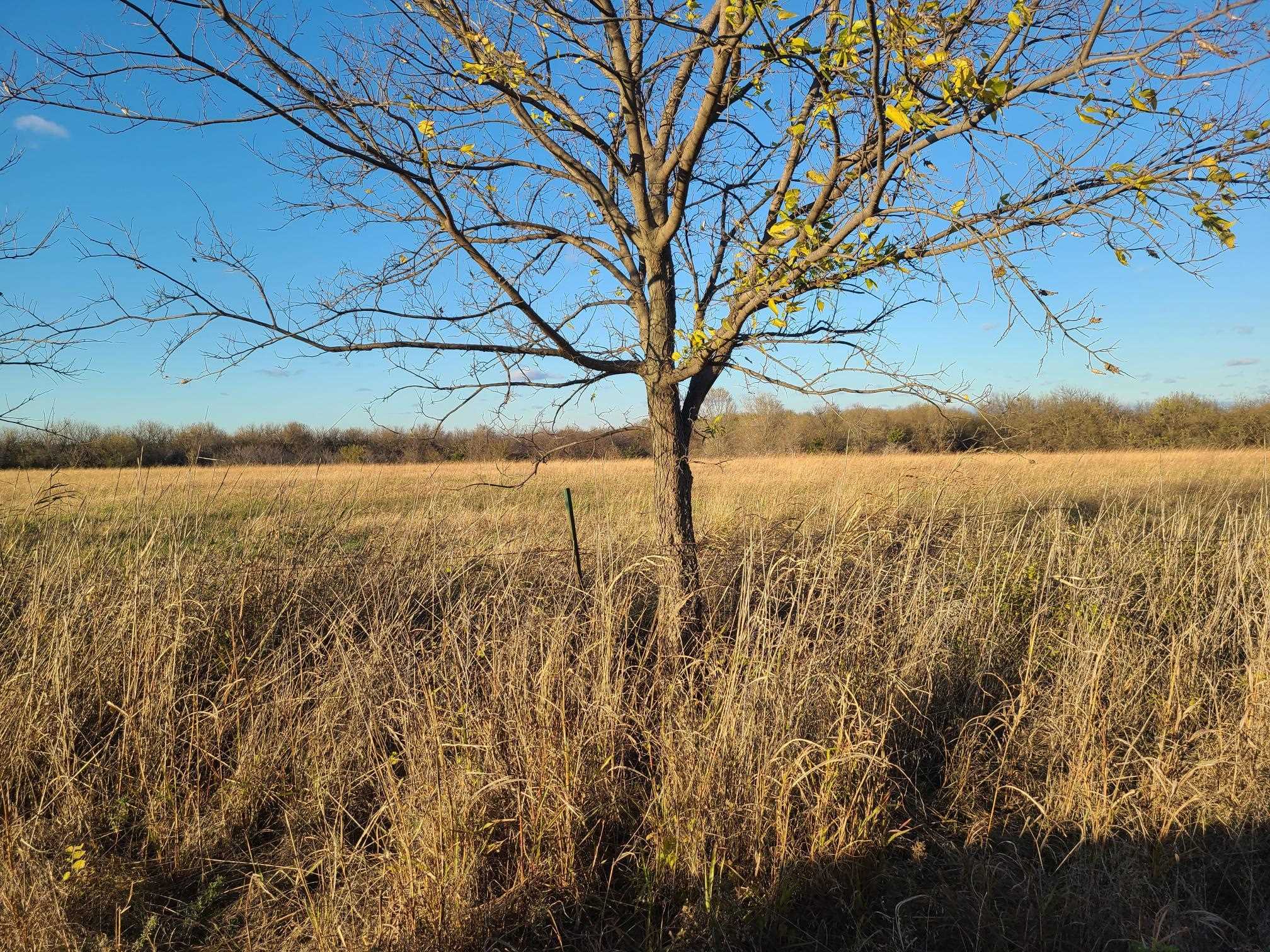 10046 42nd Rd, Rock, Kansas image 3