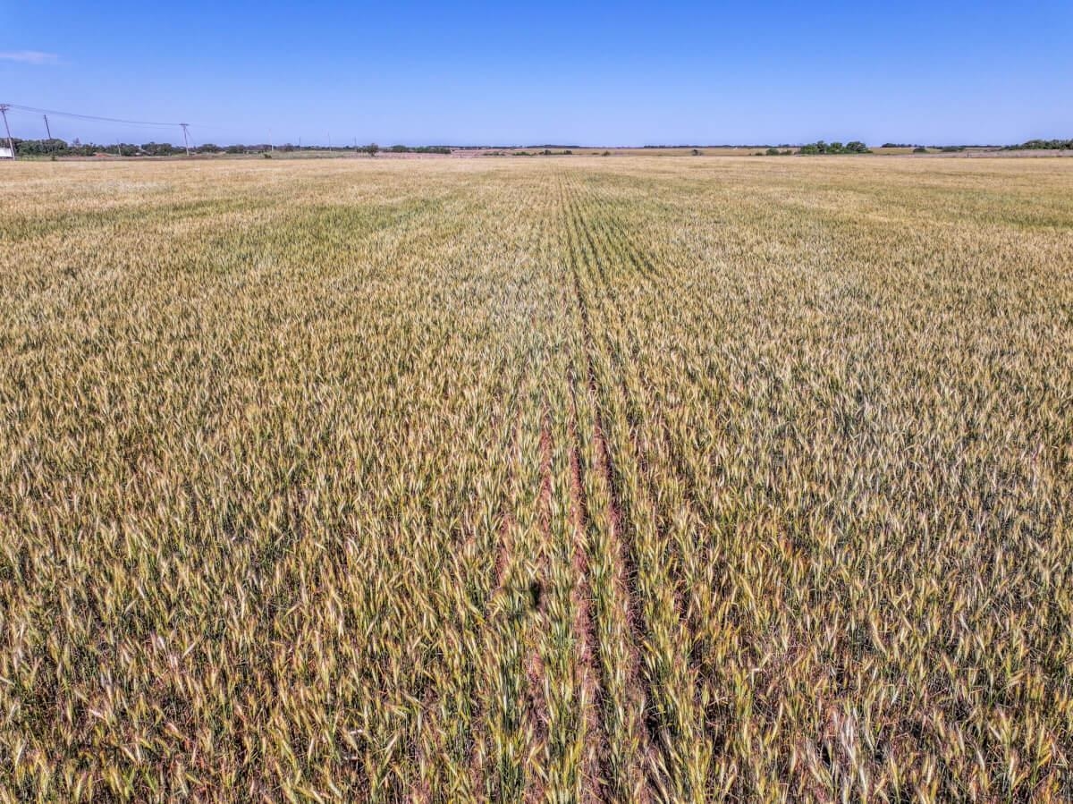 000 NW 30th St, Cunningham, Kansas image 12