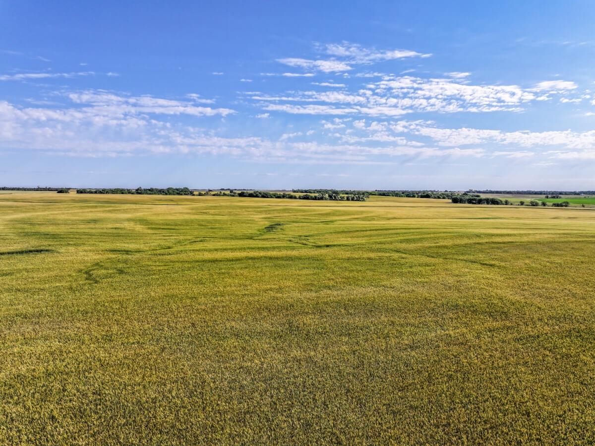 000 NW 30th St, Cunningham, Kansas image 10