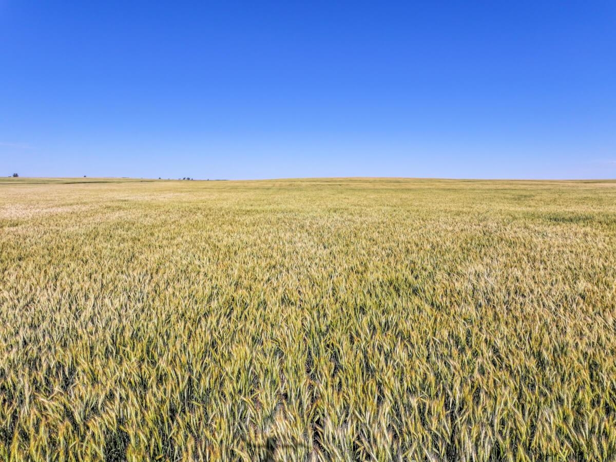 000 NW 30th St, Cunningham, Kansas image 3