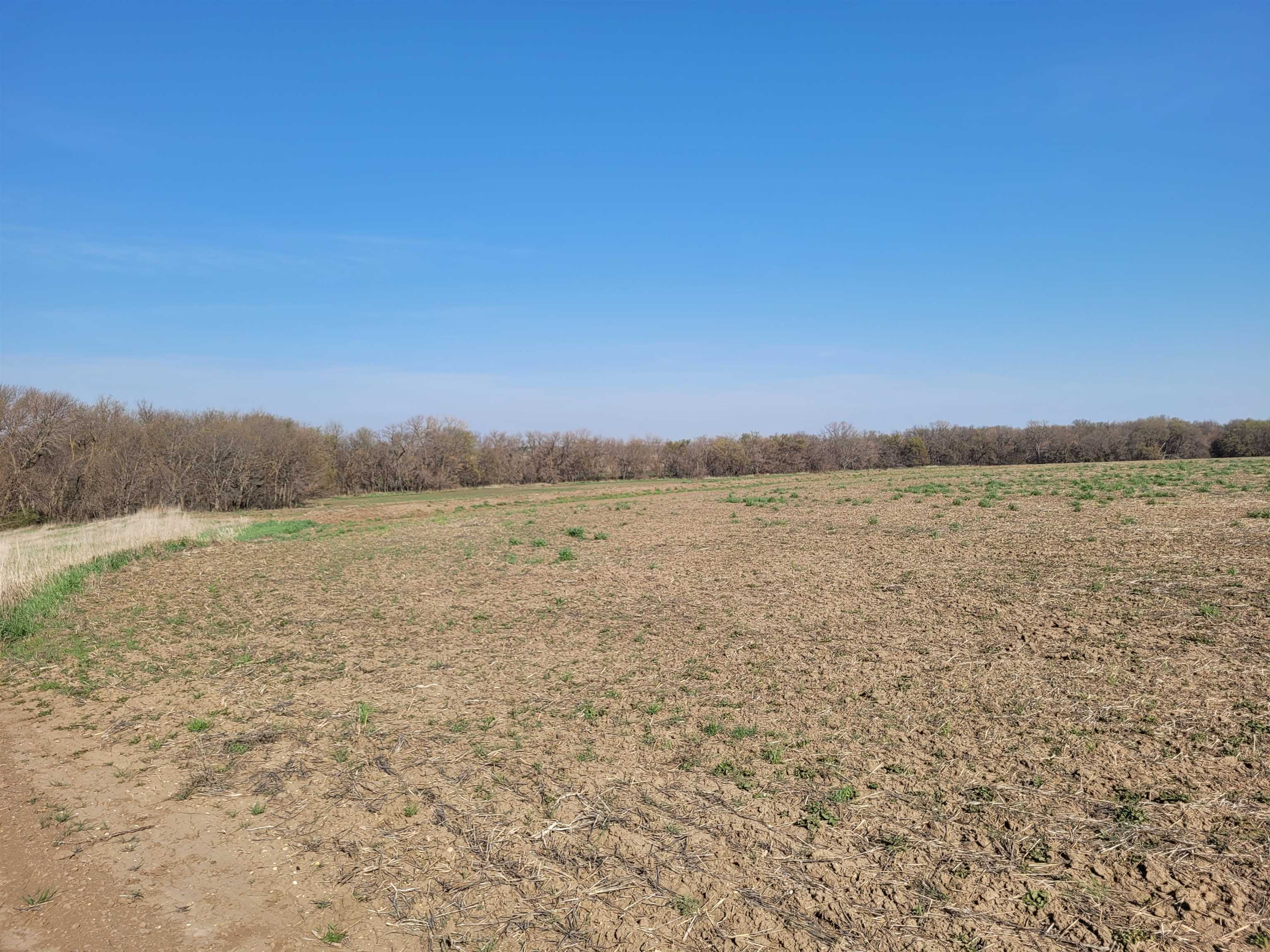 0000 I Road, Randall, Virginia image 4