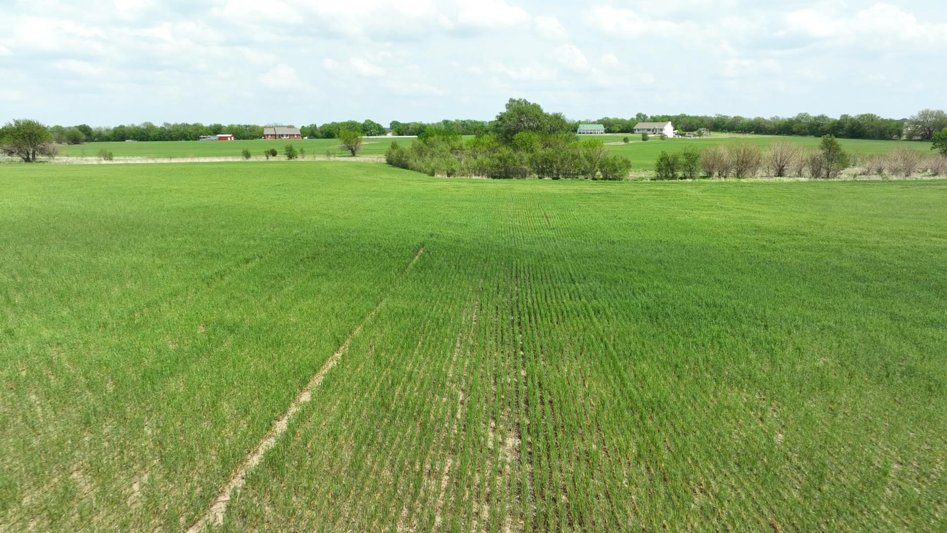 Lot 24 Block 3 Dry Creek Estates #16304 W SHADE CT, Goddard, Kansas image 3