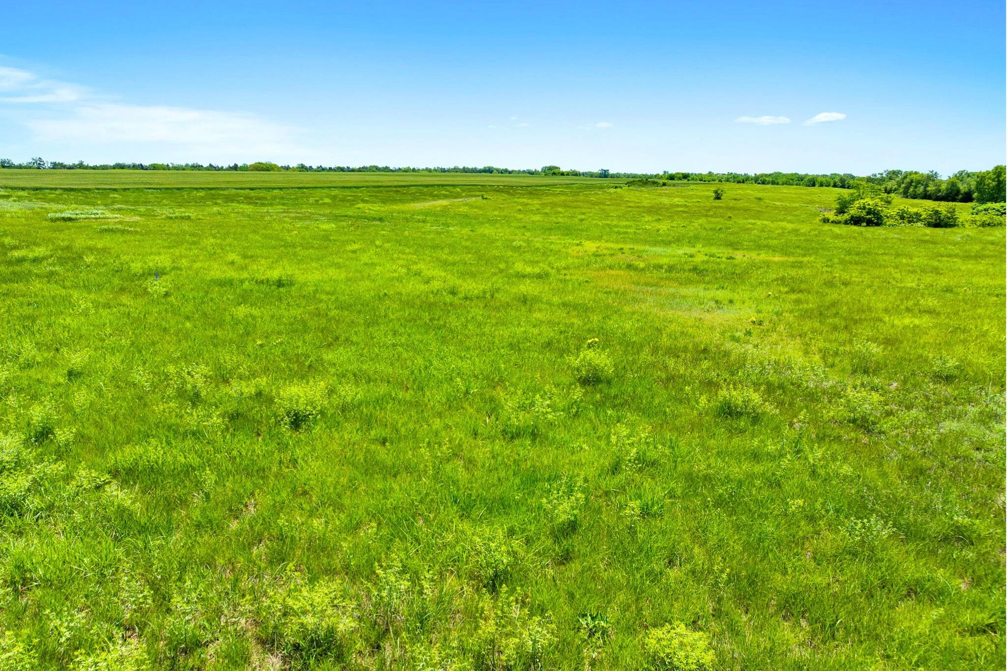 Lot 4 L3 S 263rd St, Garden Plain, Kansas image 6