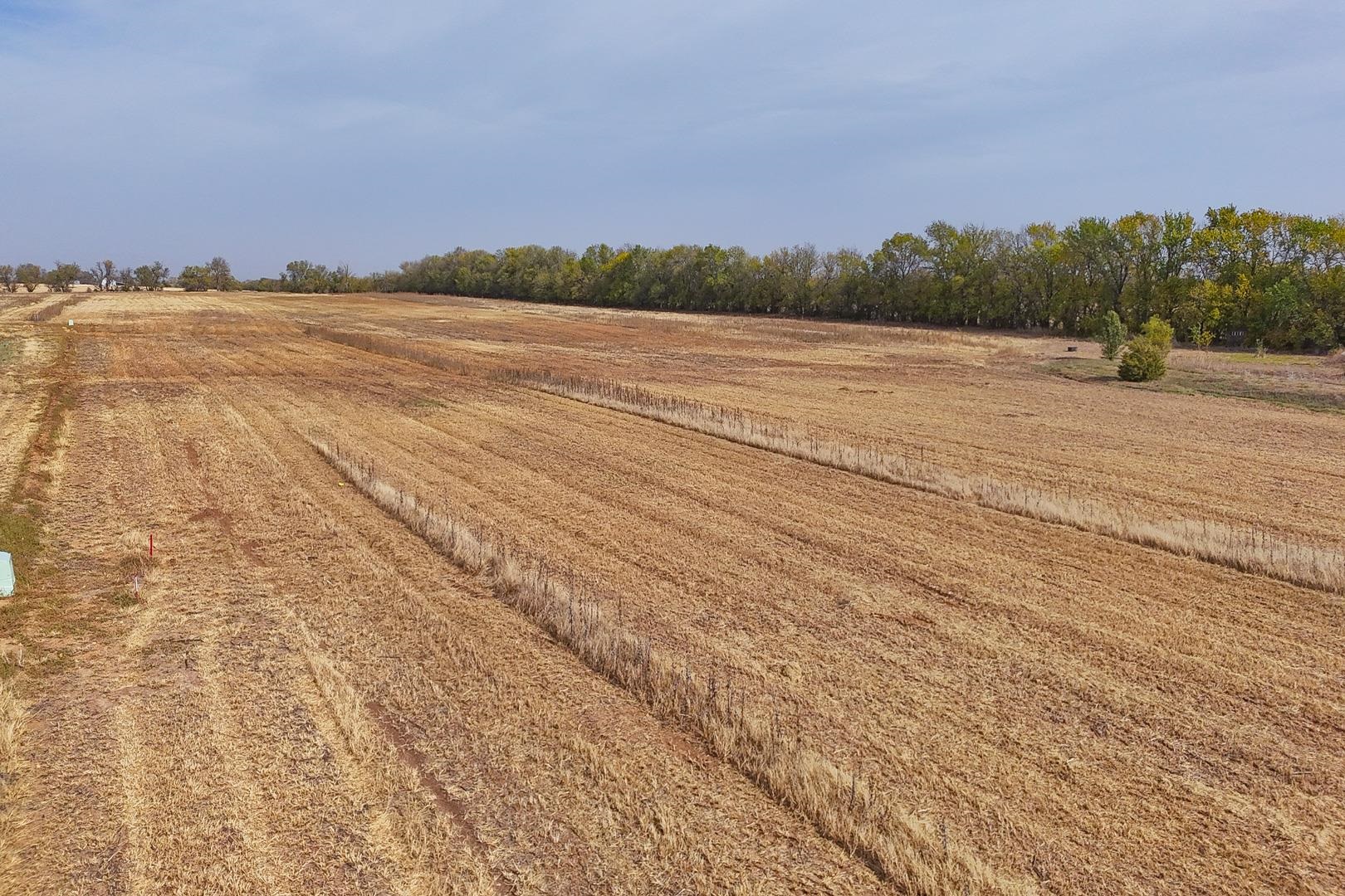 9.2+/- Acres On SW 220th #TRACT 2, Douglass, Kansas image 17