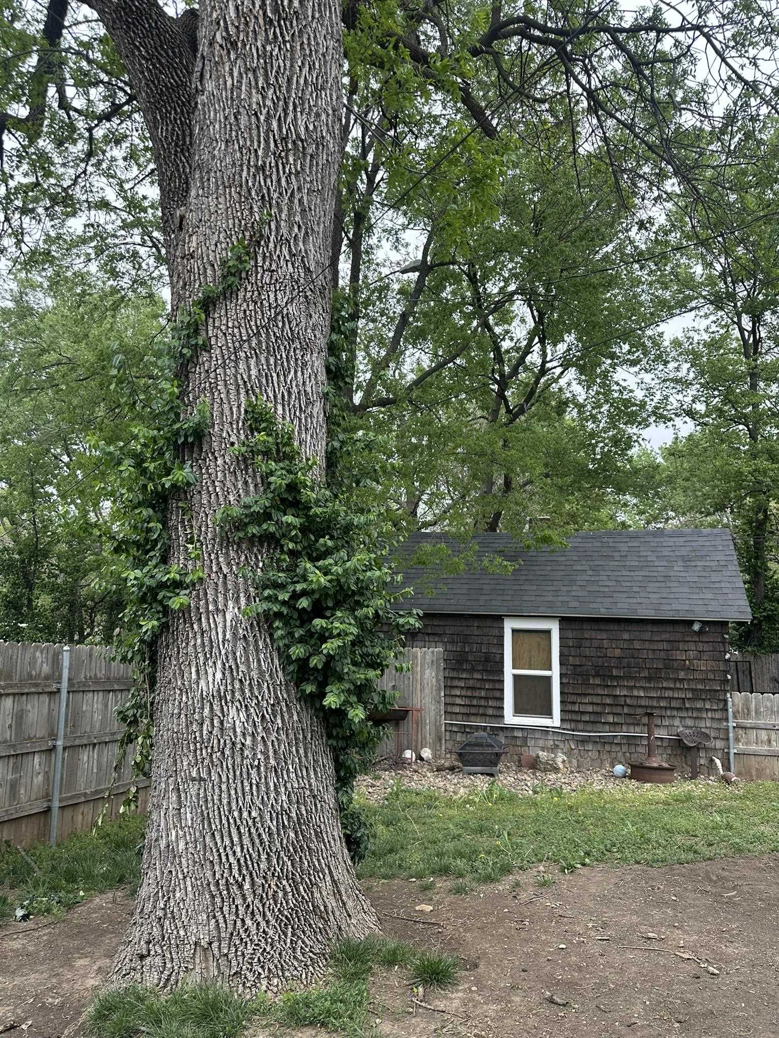 1110 N State Street, Augusta, Virginia image 30