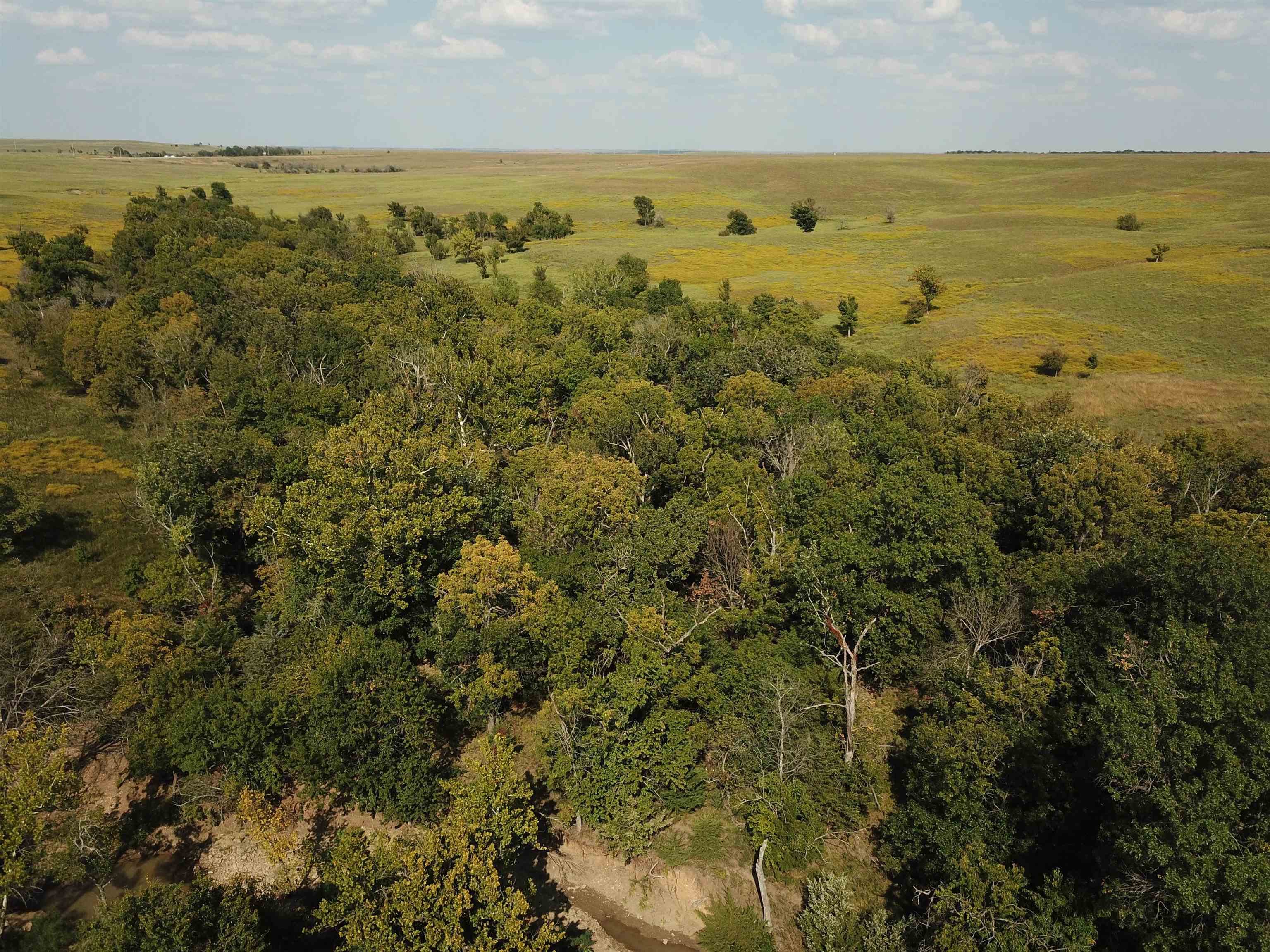00000 Cc Rd, Neal, Kansas image 17