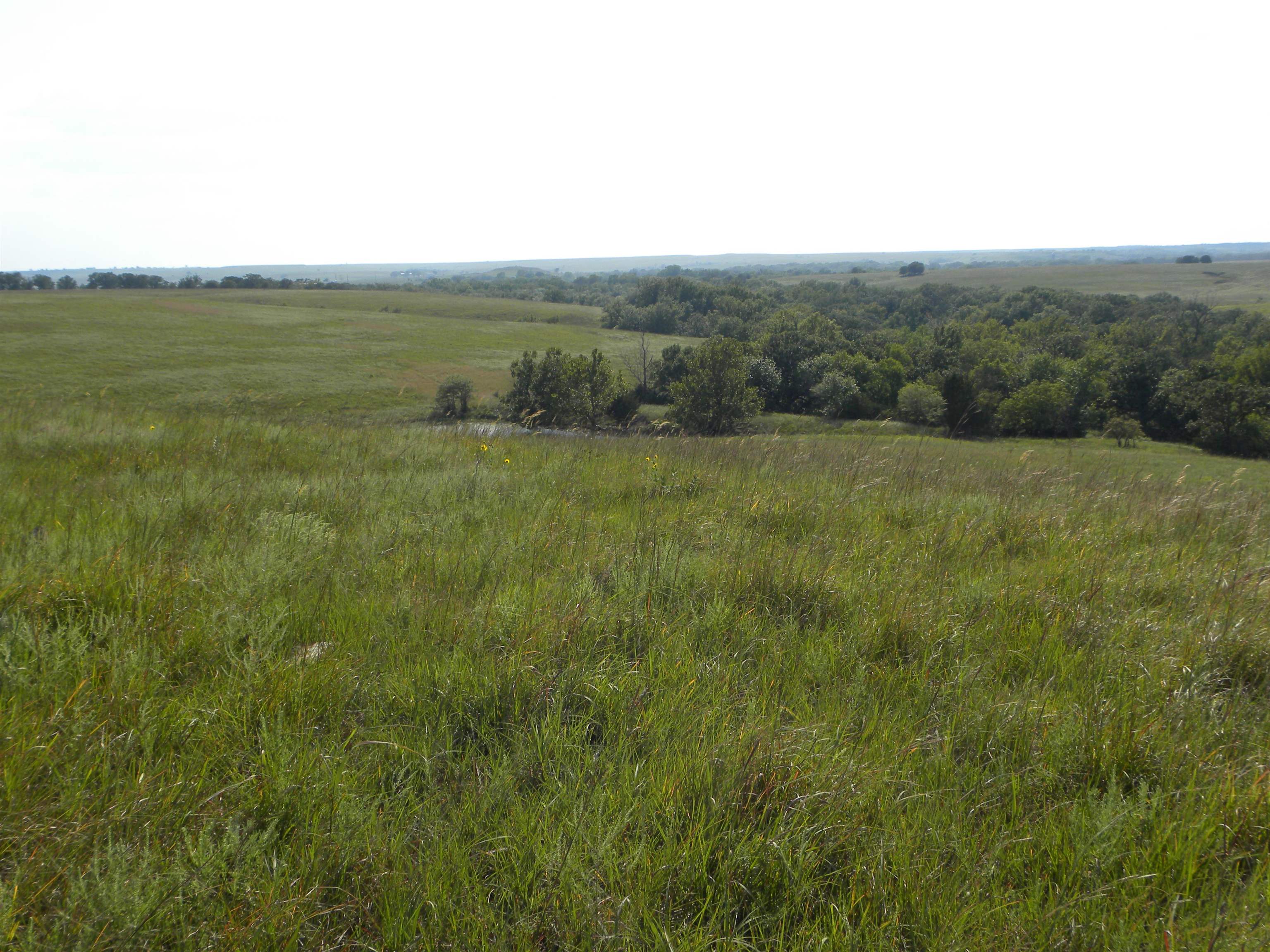 00000 Cc Rd, Neal, Kansas image 30