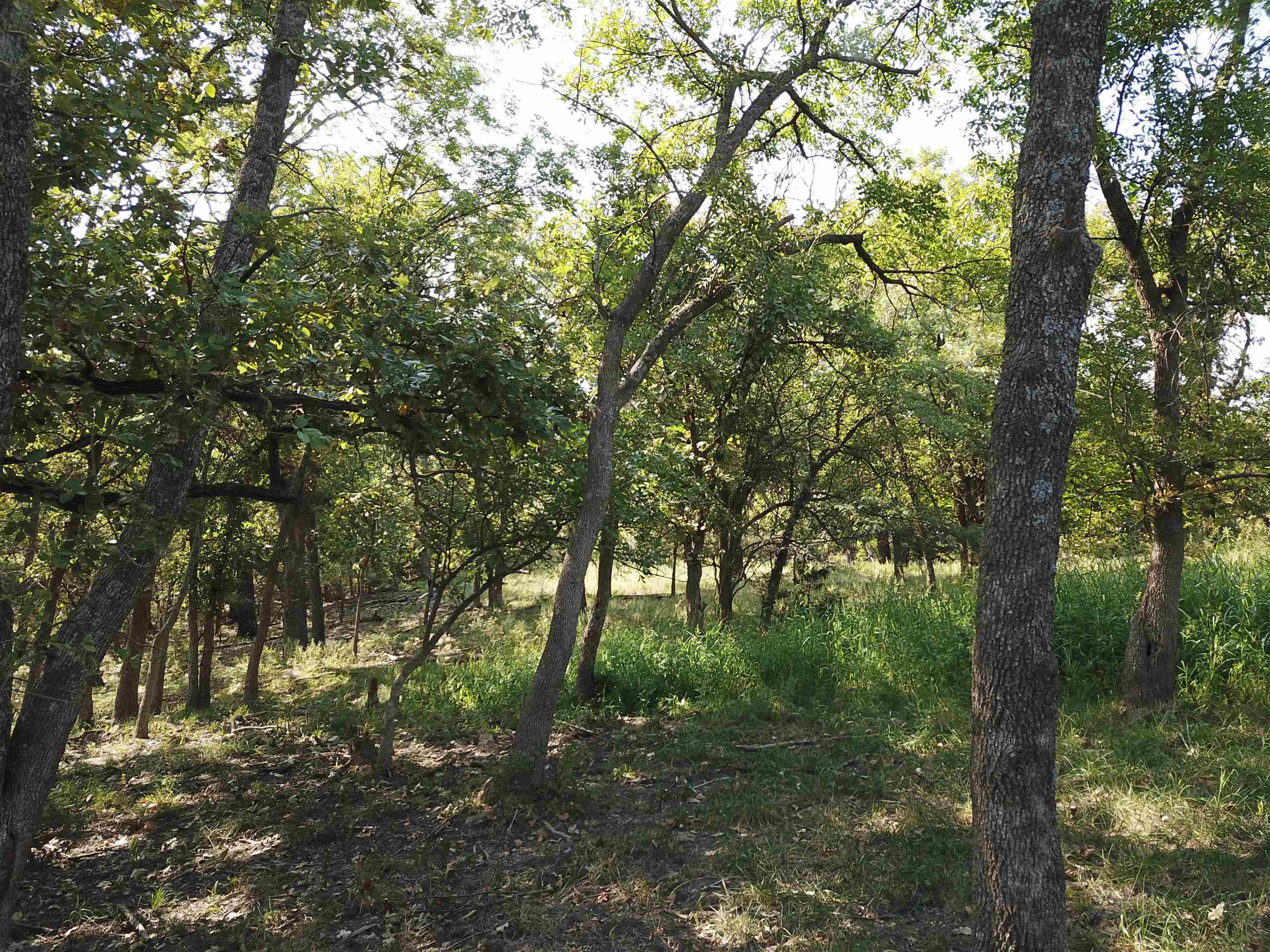 00000 Cc Rd, Neal, Kansas image 19