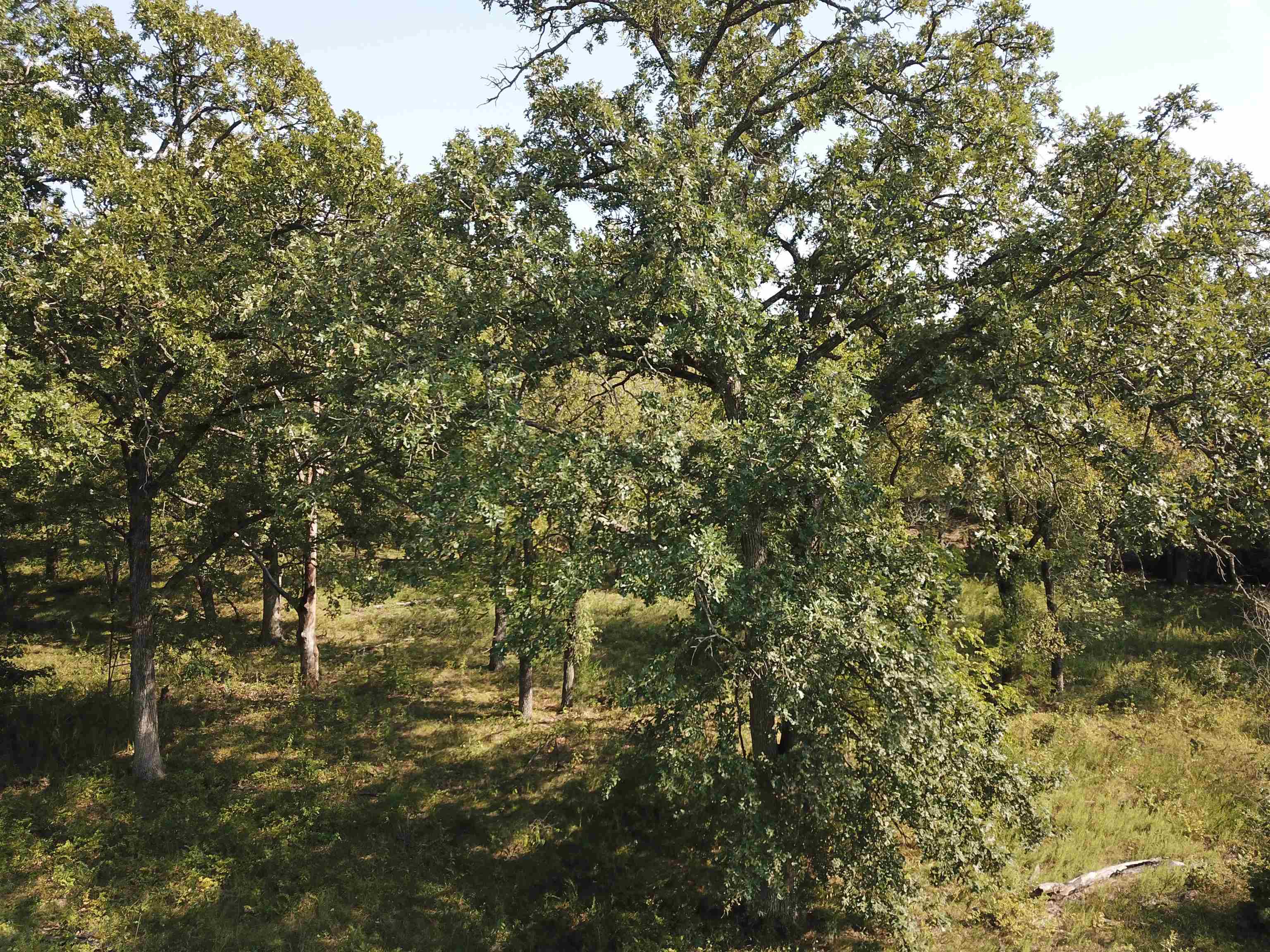 00000 Cc Rd, Neal, Kansas image 23