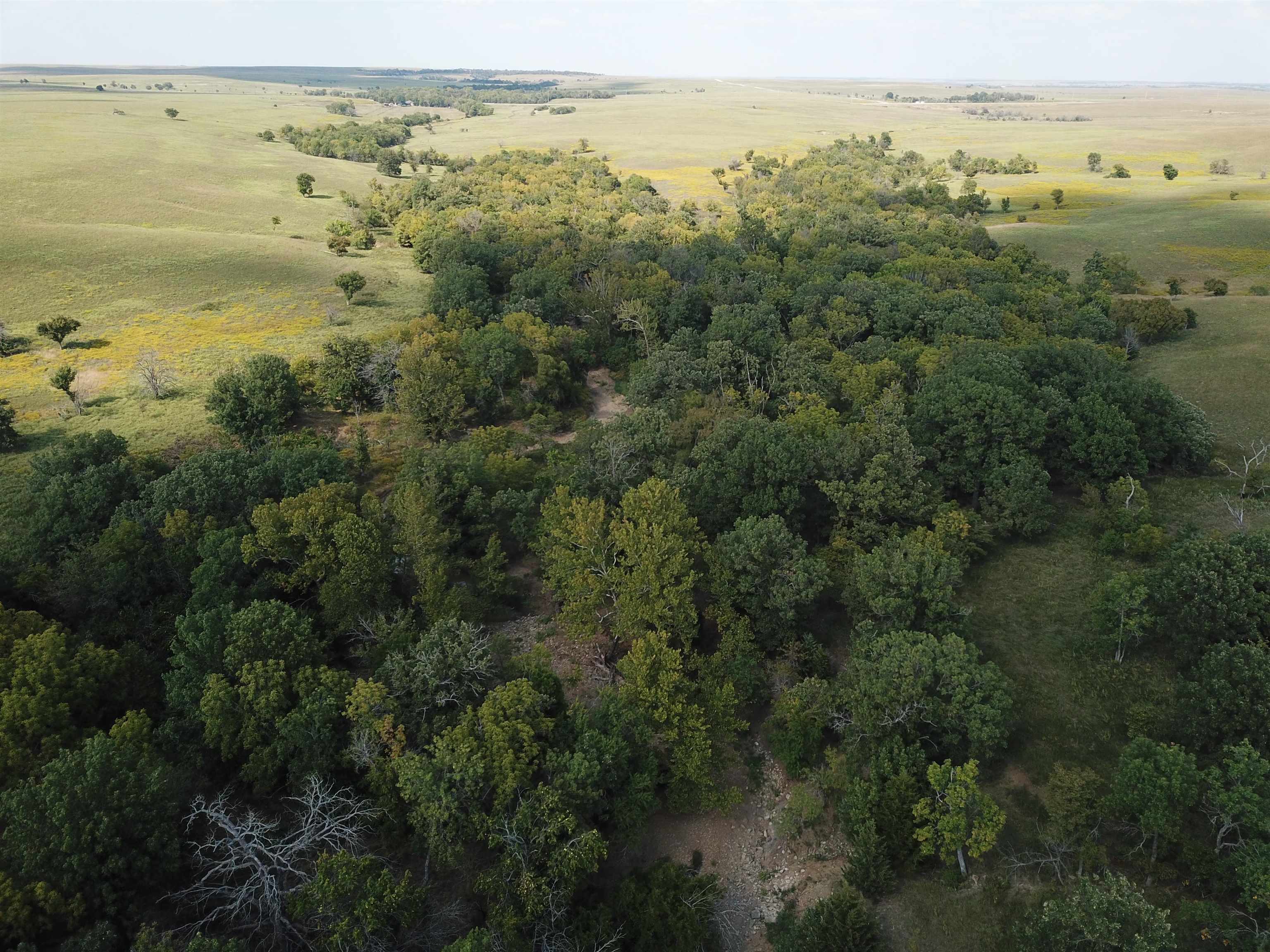 00000 Cc Rd, Neal, Kansas image 14