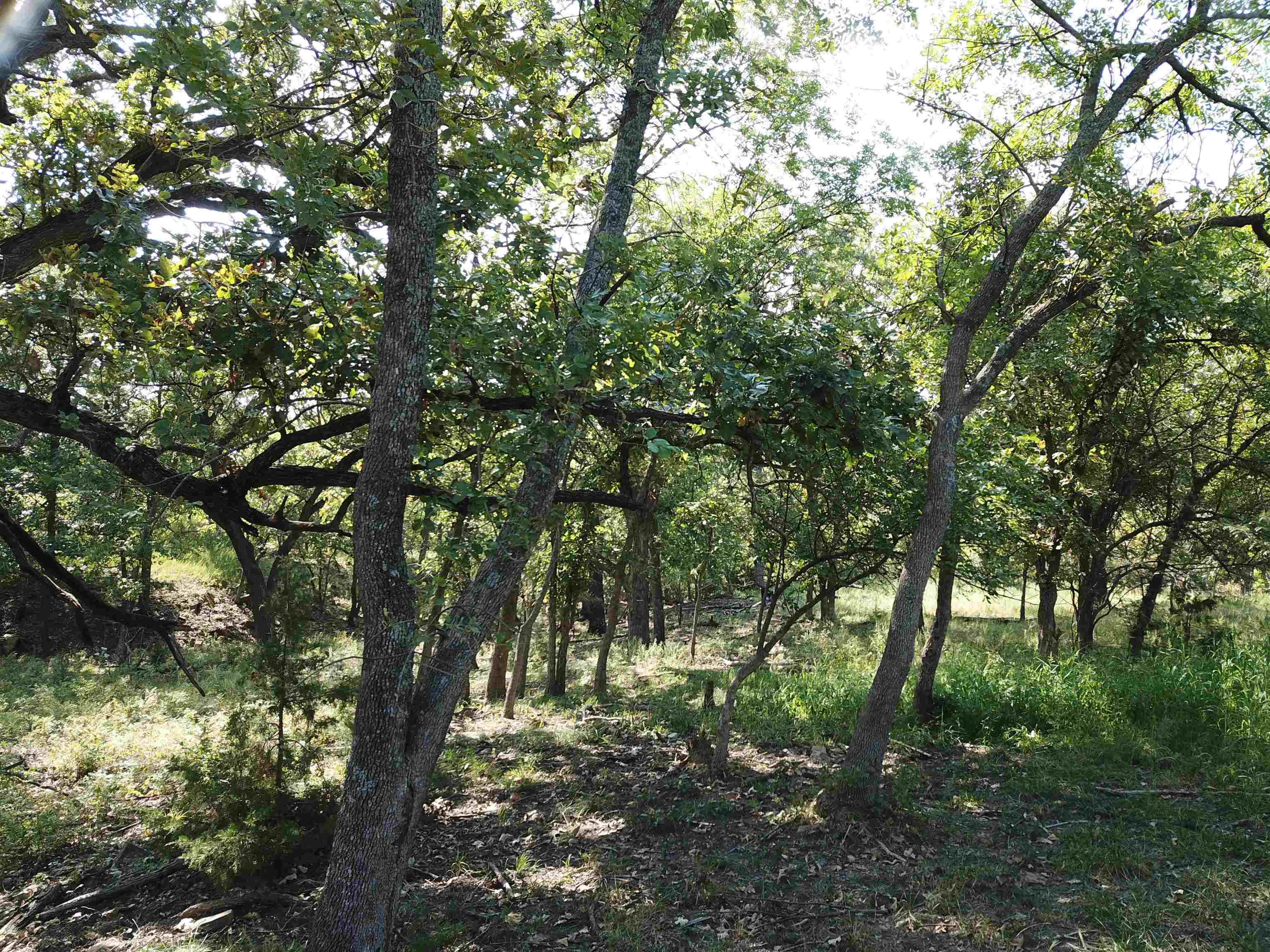 00000 Cc Rd, Neal, Kansas image 3