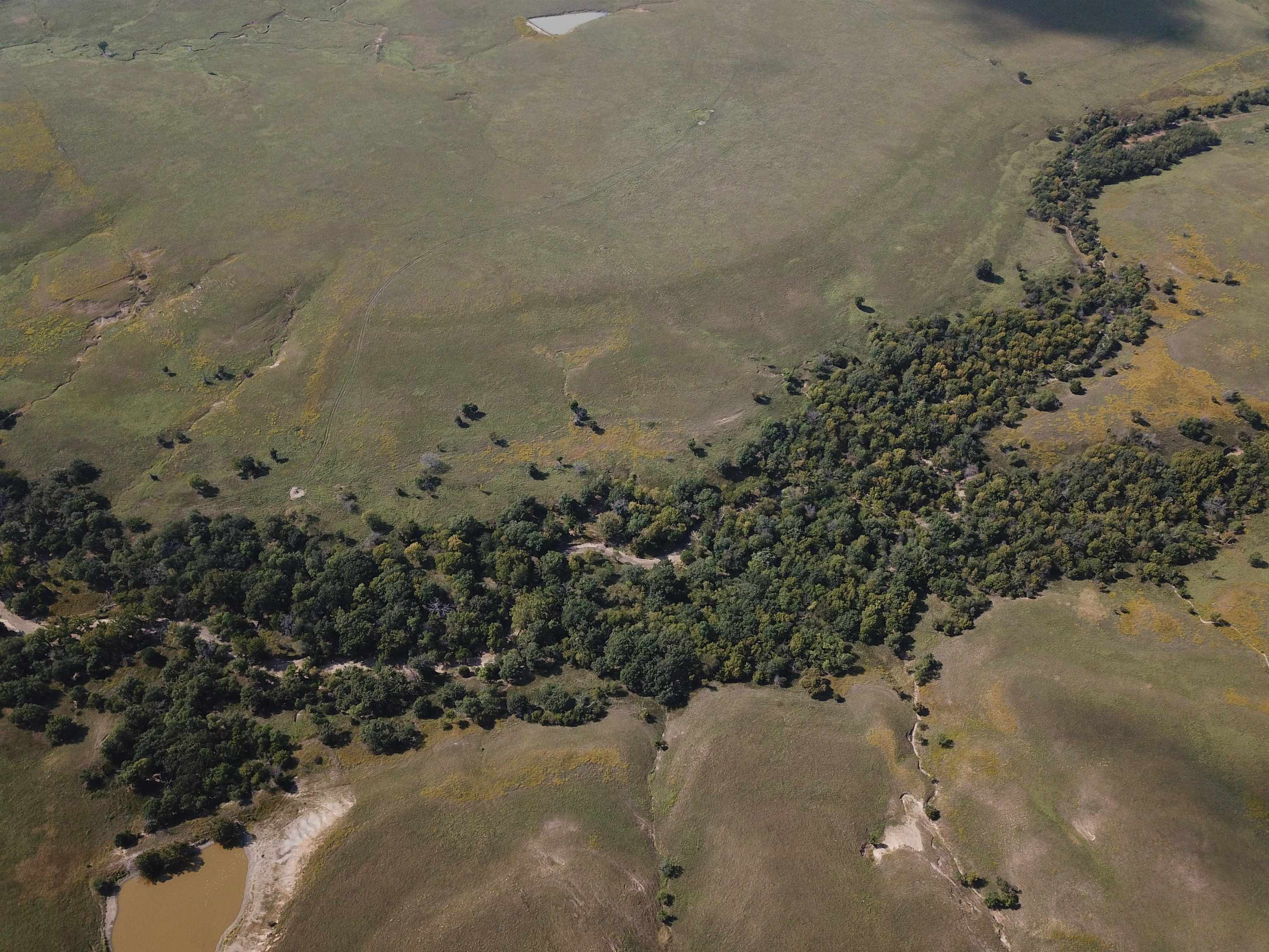 00000 Cc Rd, Neal, Kansas image 4