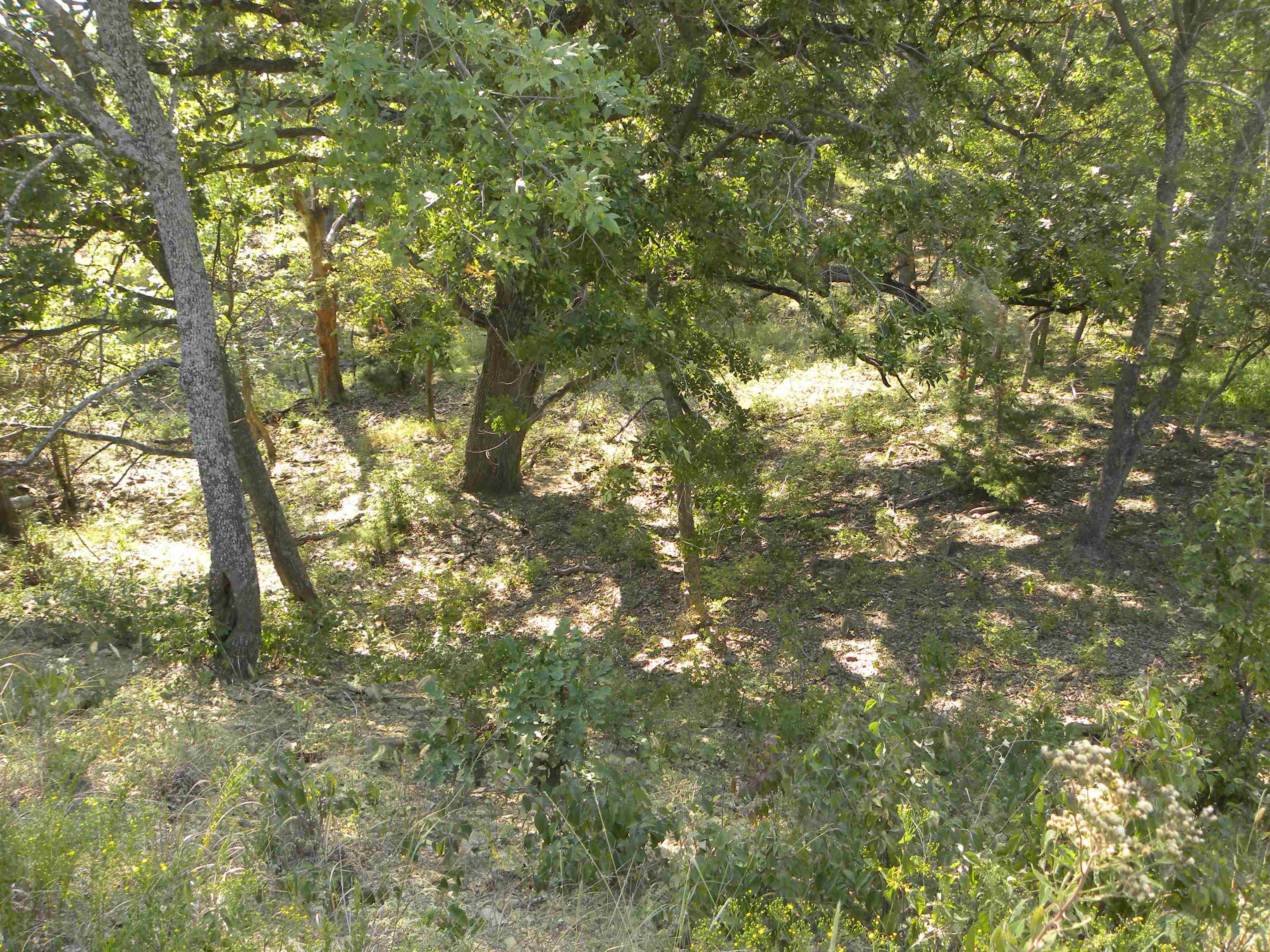 00000 Cc Rd, Neal, Kansas image 24