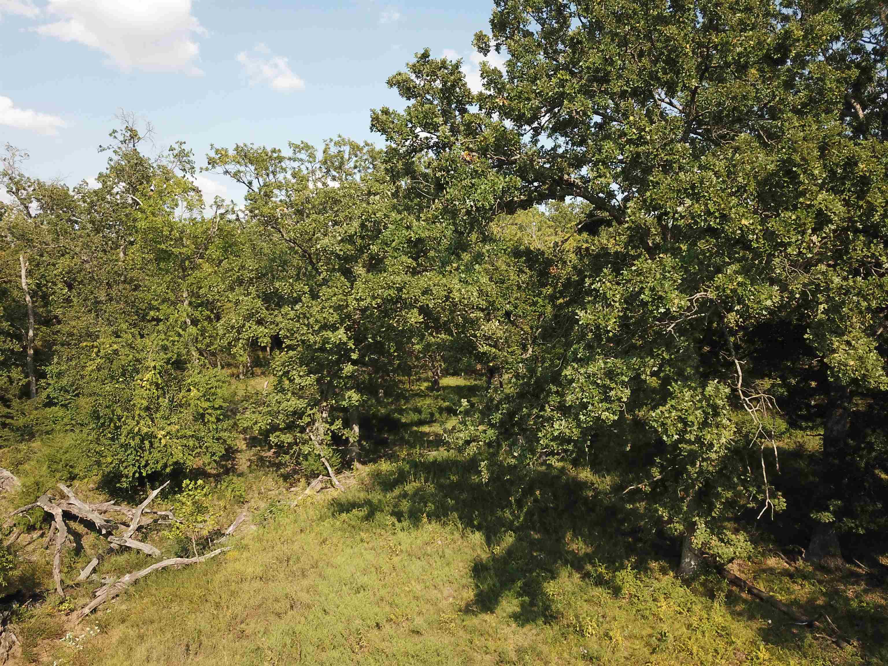 00000 Cc Rd, Neal, Kansas image 22
