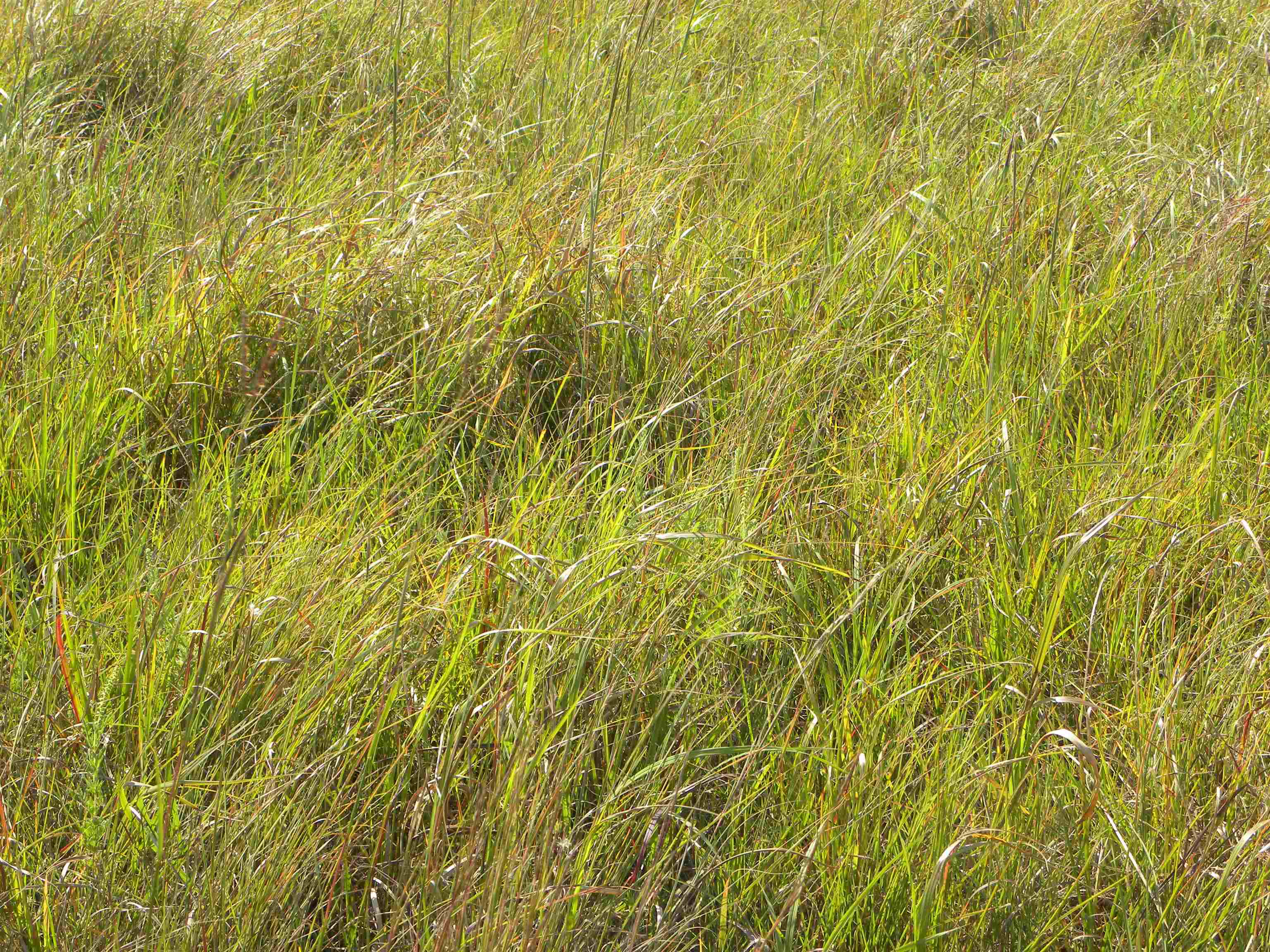 00000 Cc Rd, Neal, Kansas image 31