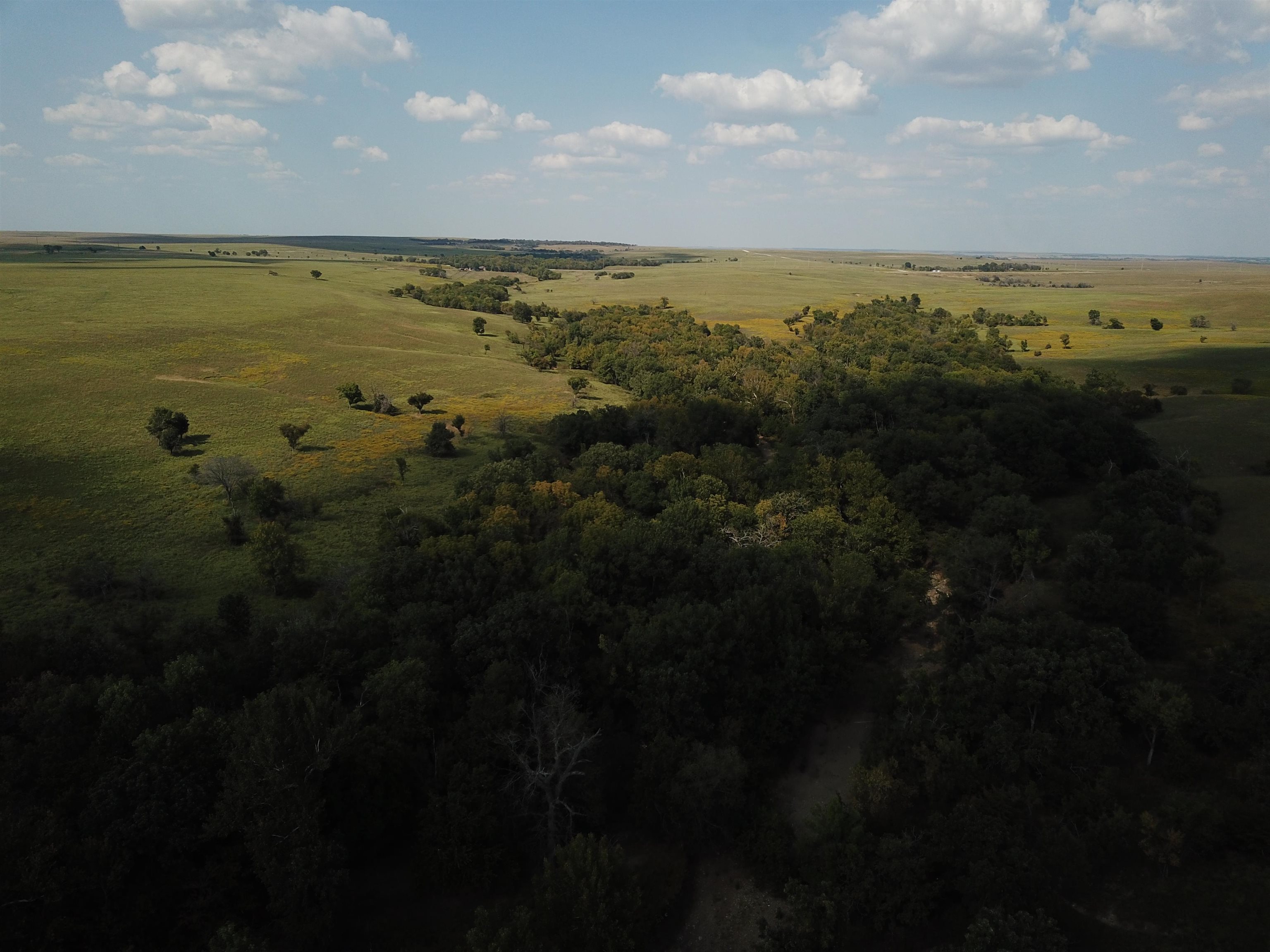 00000 Cc Rd, Neal, Kansas image 13