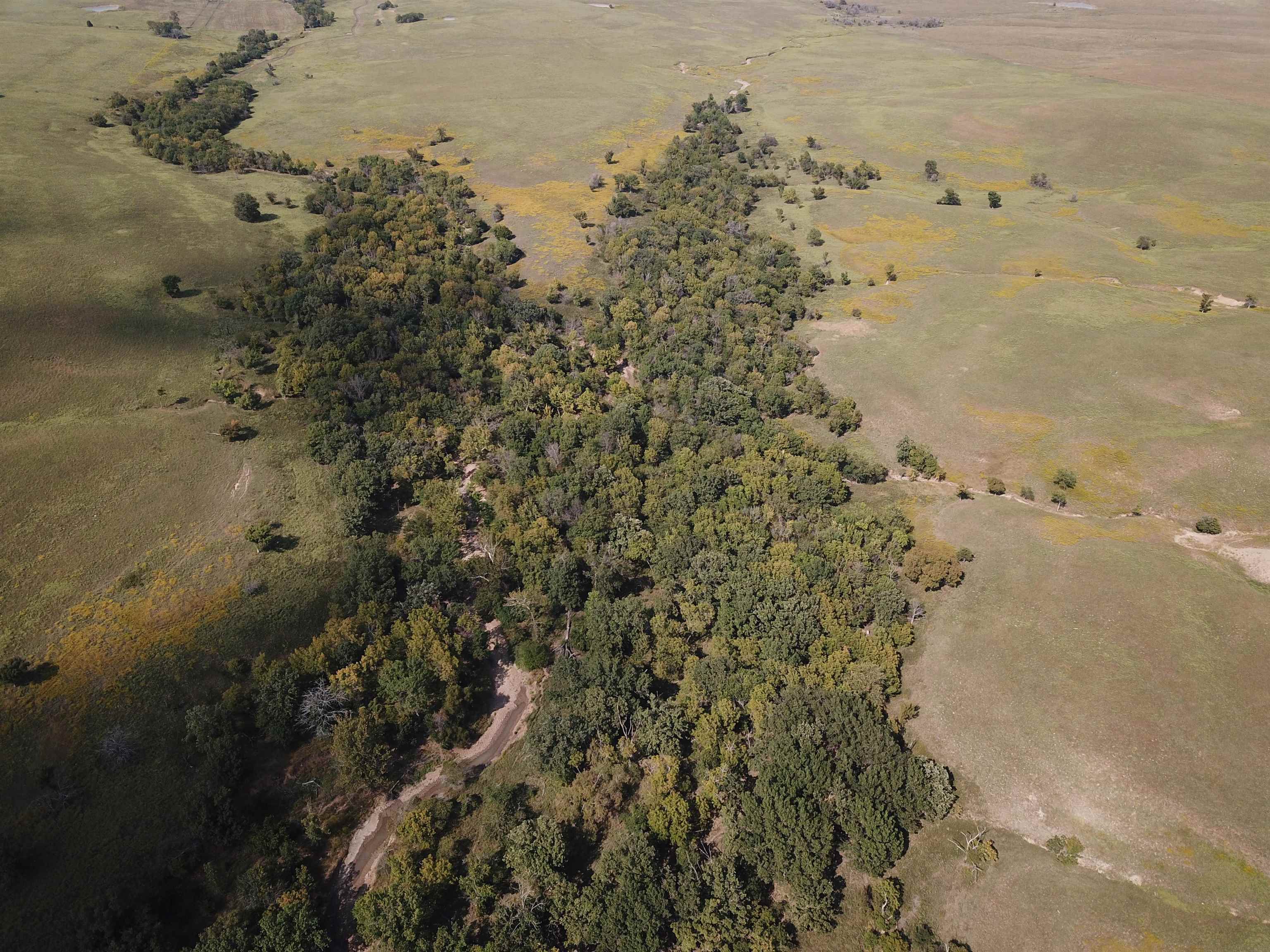 00000 Cc Rd, Neal, Kansas image 15