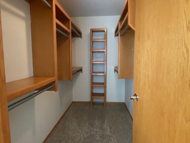 3001 Cottonwood Hill Dr, Newton, Kansas image 19