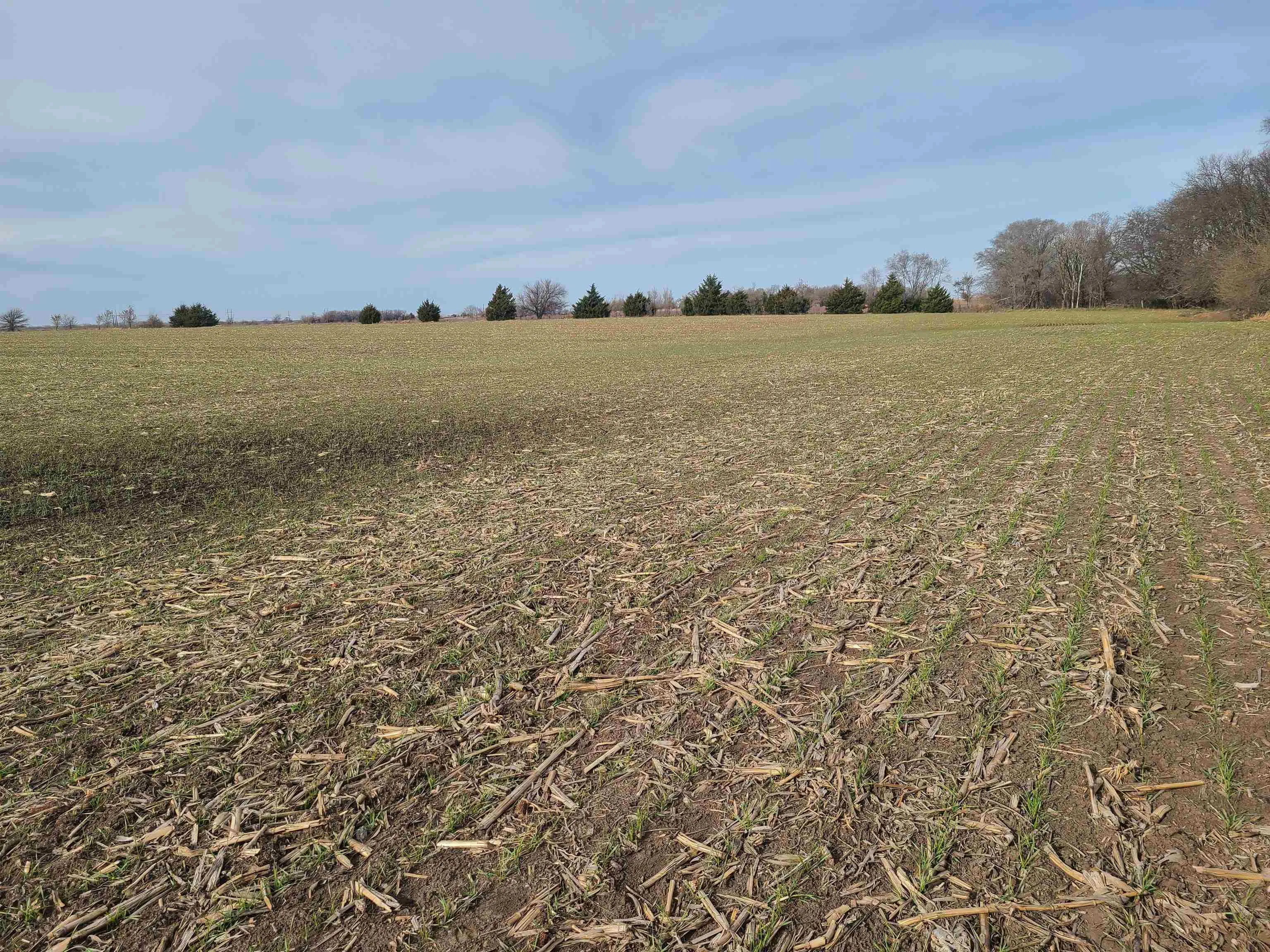 Udall, Kansas 67146, United States, ,Residential,Active,253071