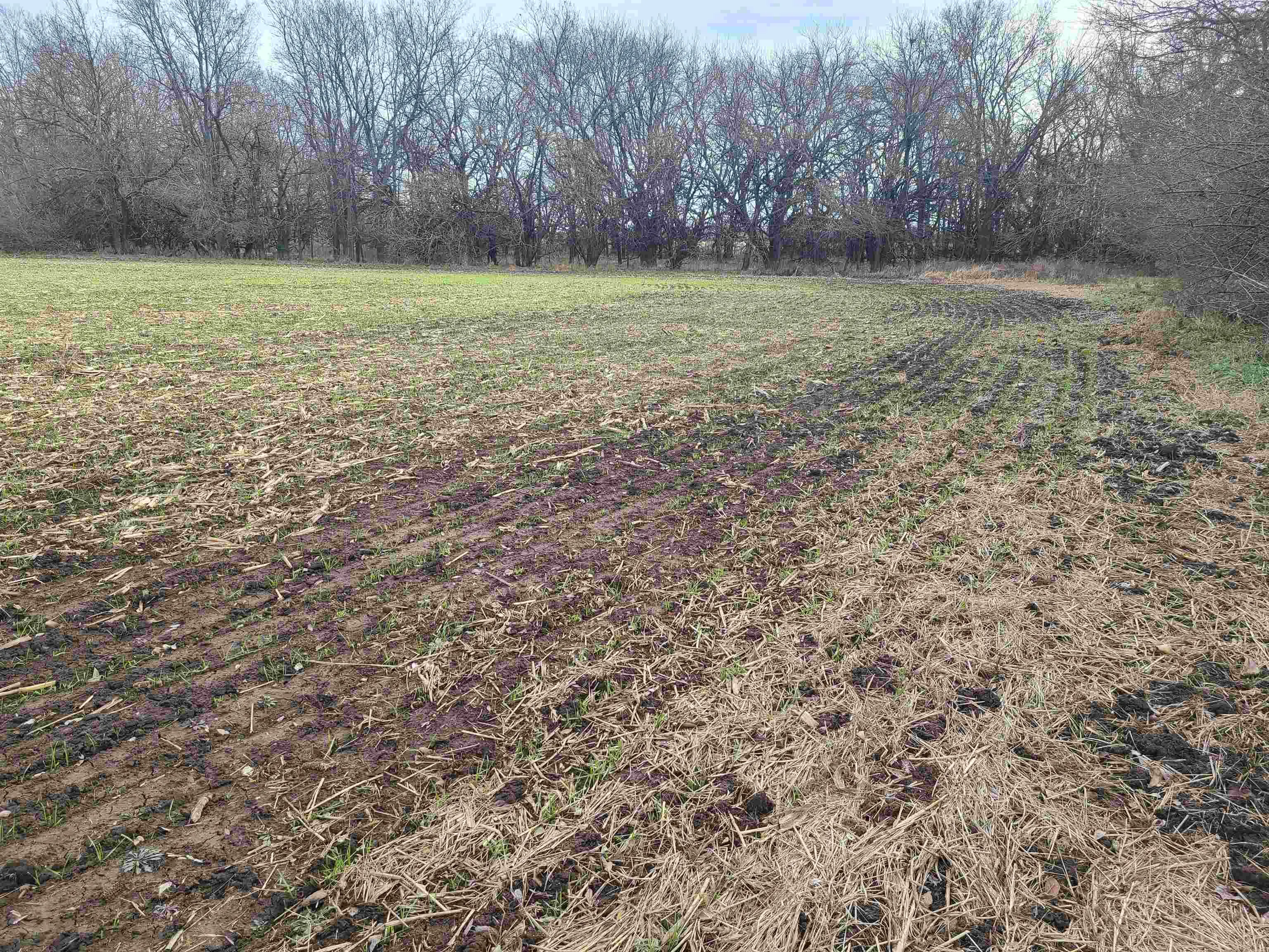 Udall, Kansas 67146, United States, ,Residential,Active,253071