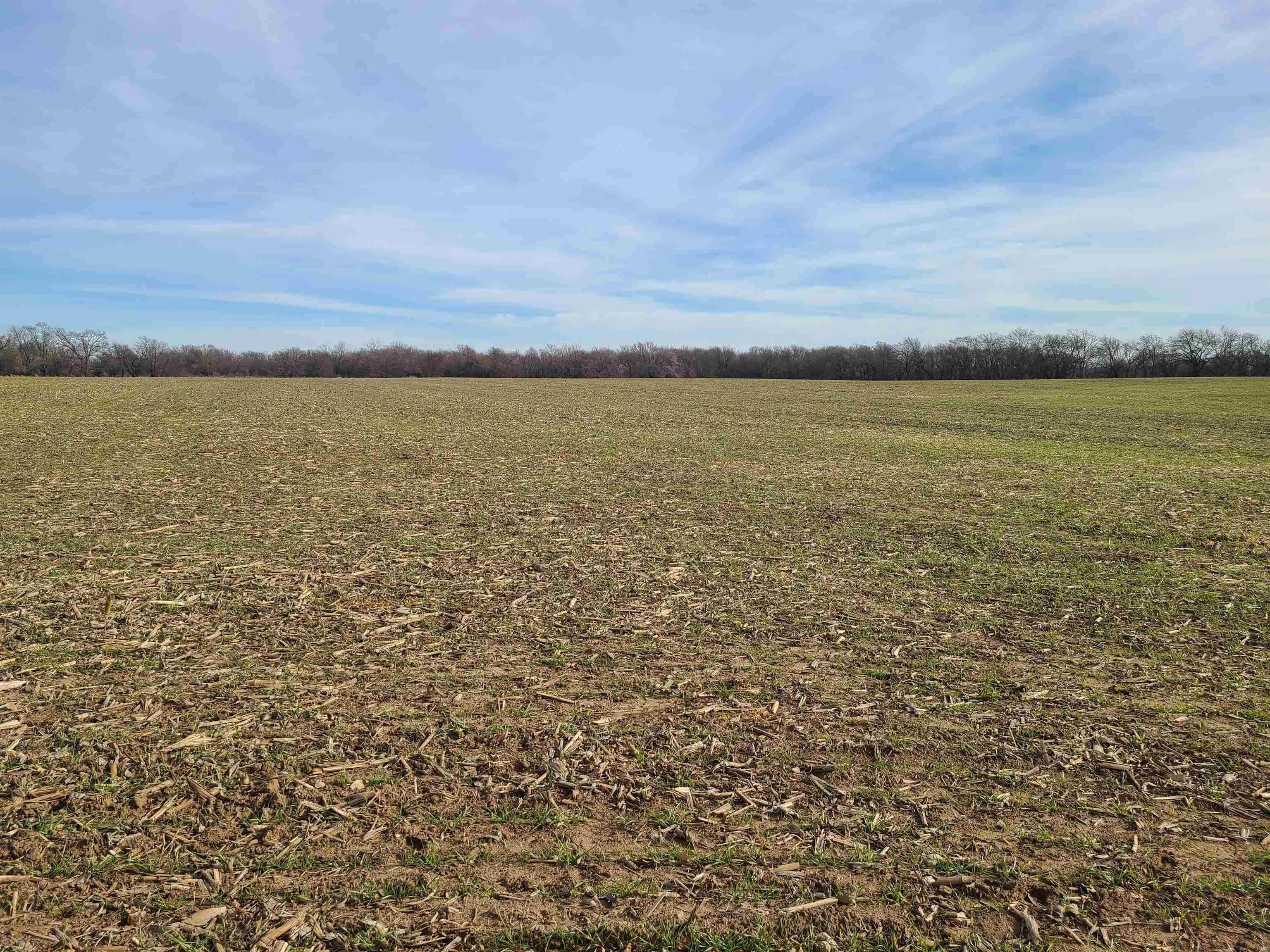 Udall, Kansas 67146, United States, ,Residential,Active,253071