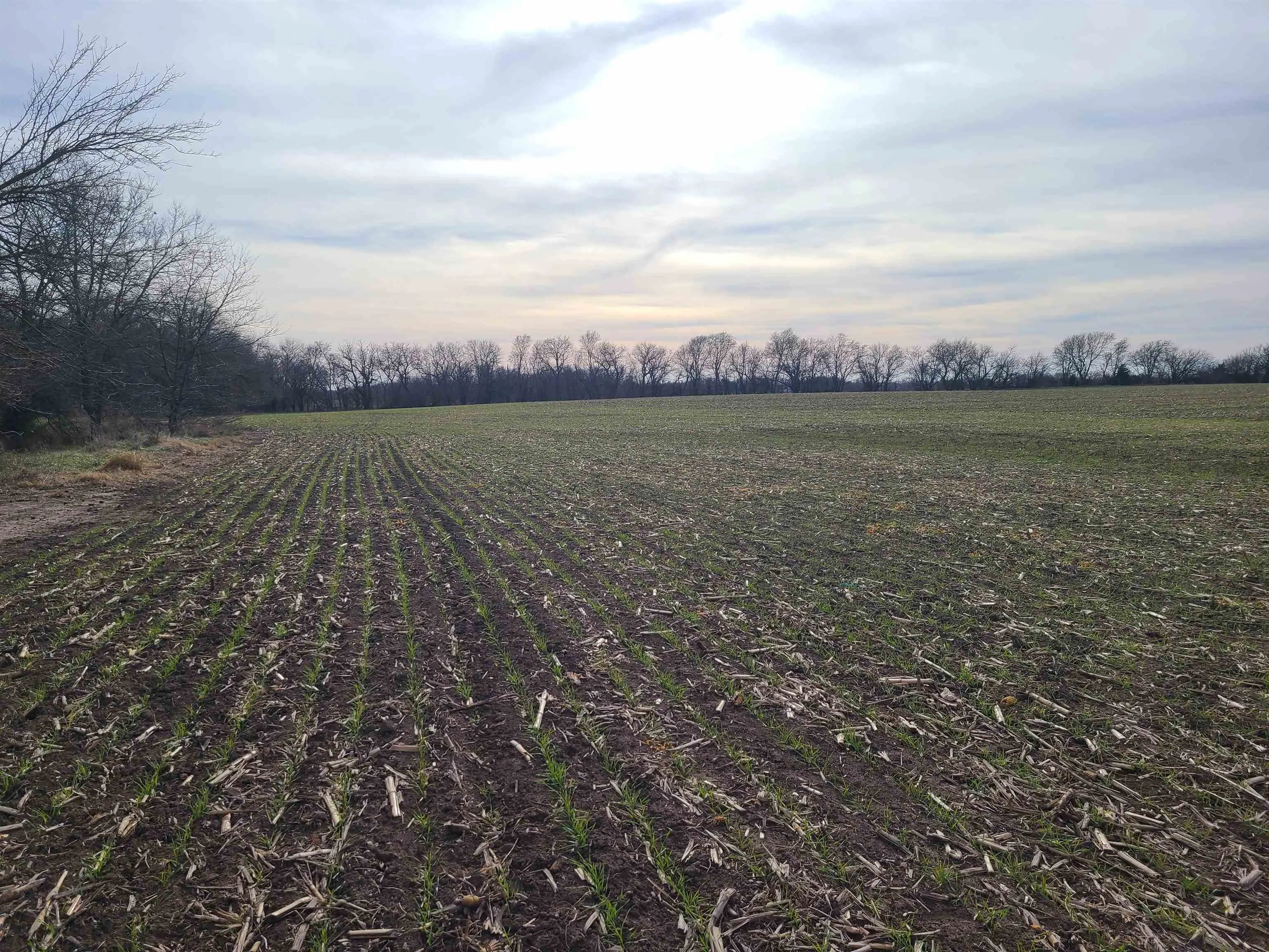 Udall, Kansas 67146, United States, ,Residential,Active,253071