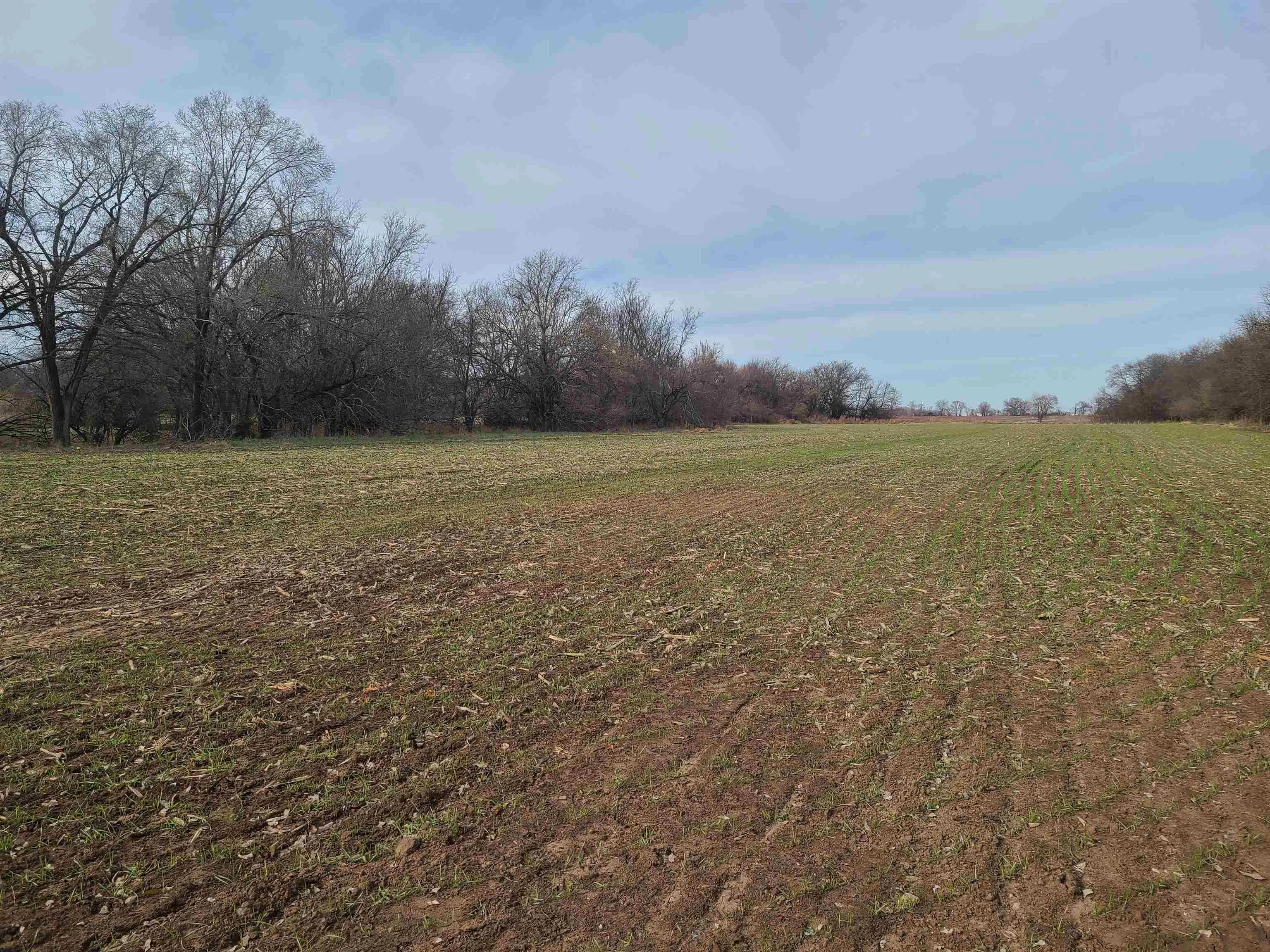 Udall, Kansas 67146, United States, ,Residential,Active,253071