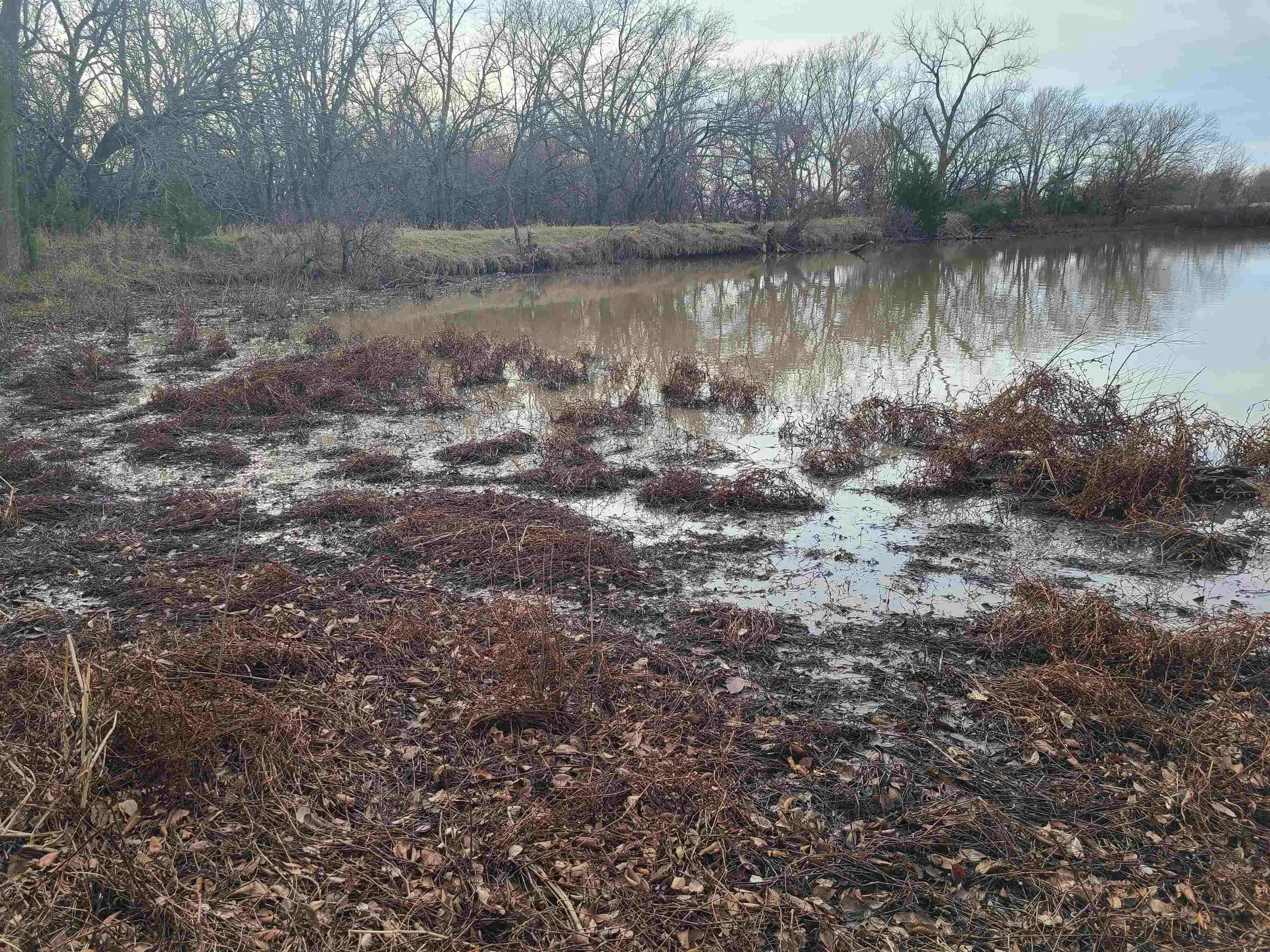 Udall, Kansas 67146, United States, ,Residential,Active,253071