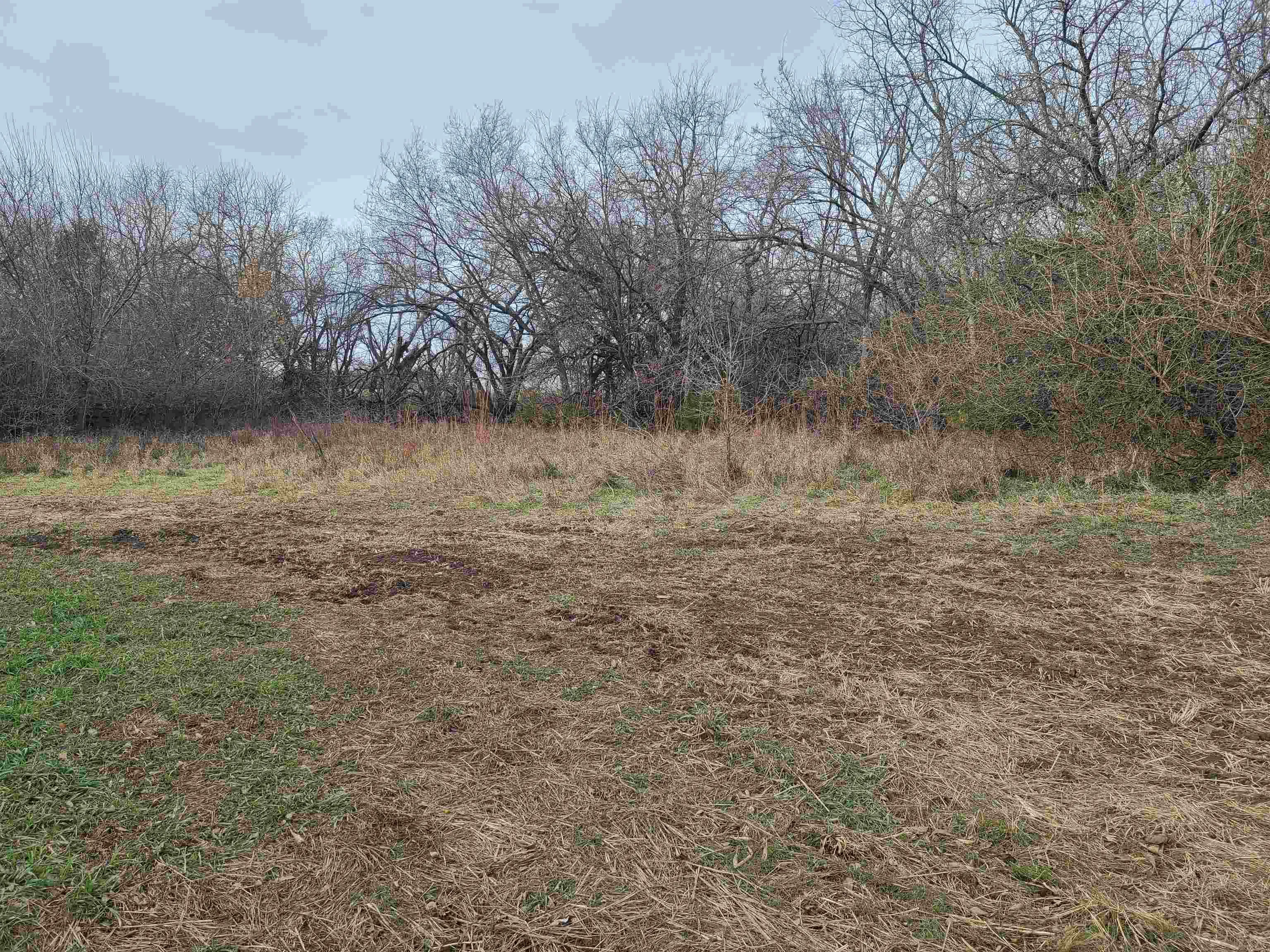 Udall, Kansas 67146, United States, ,Residential,Active,253071