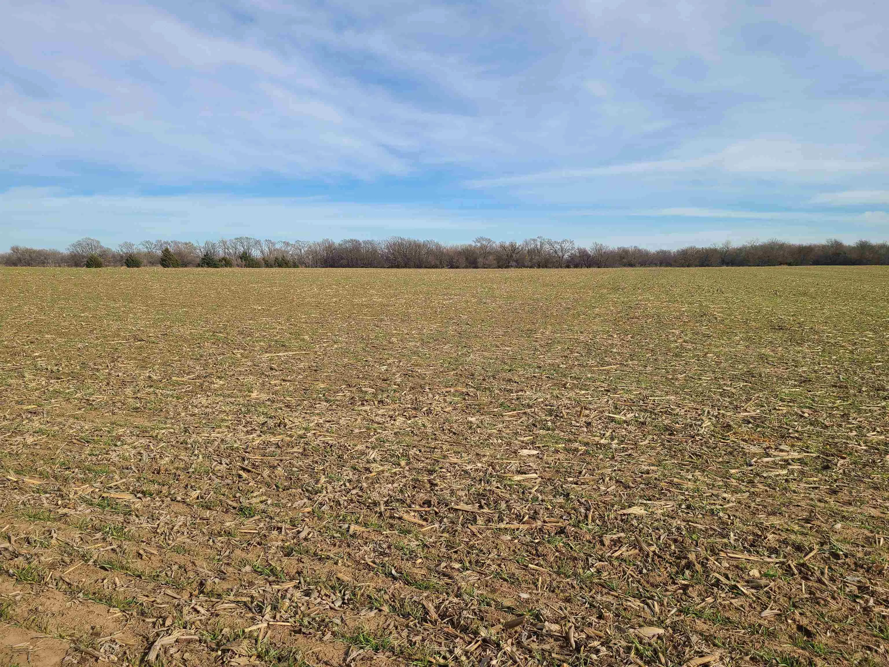 Udall, Kansas 67146, United States, ,Residential,Active,253071