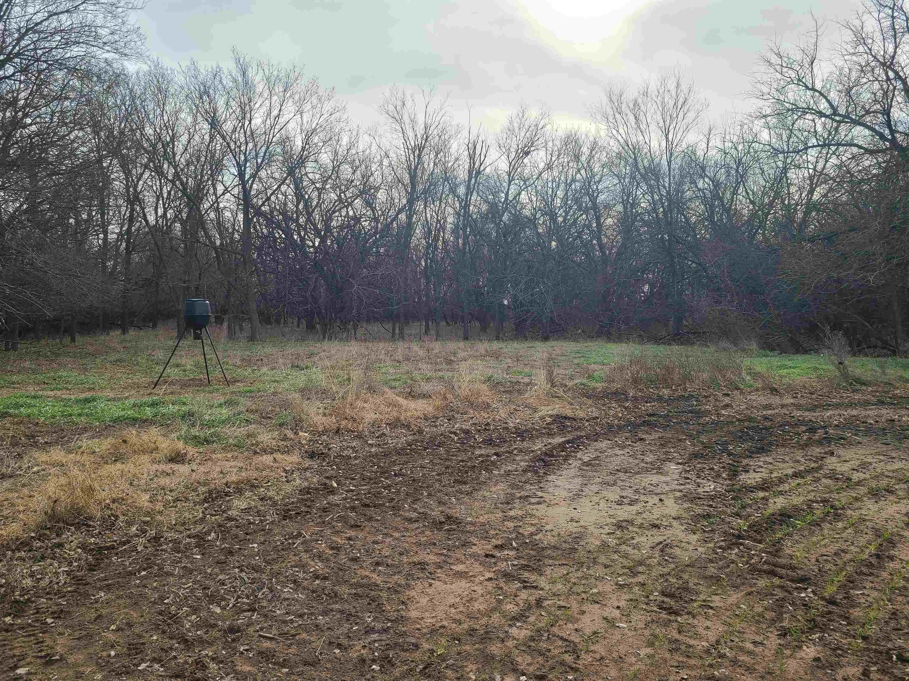 Udall, Kansas 67146, United States, ,Residential,Active,253071