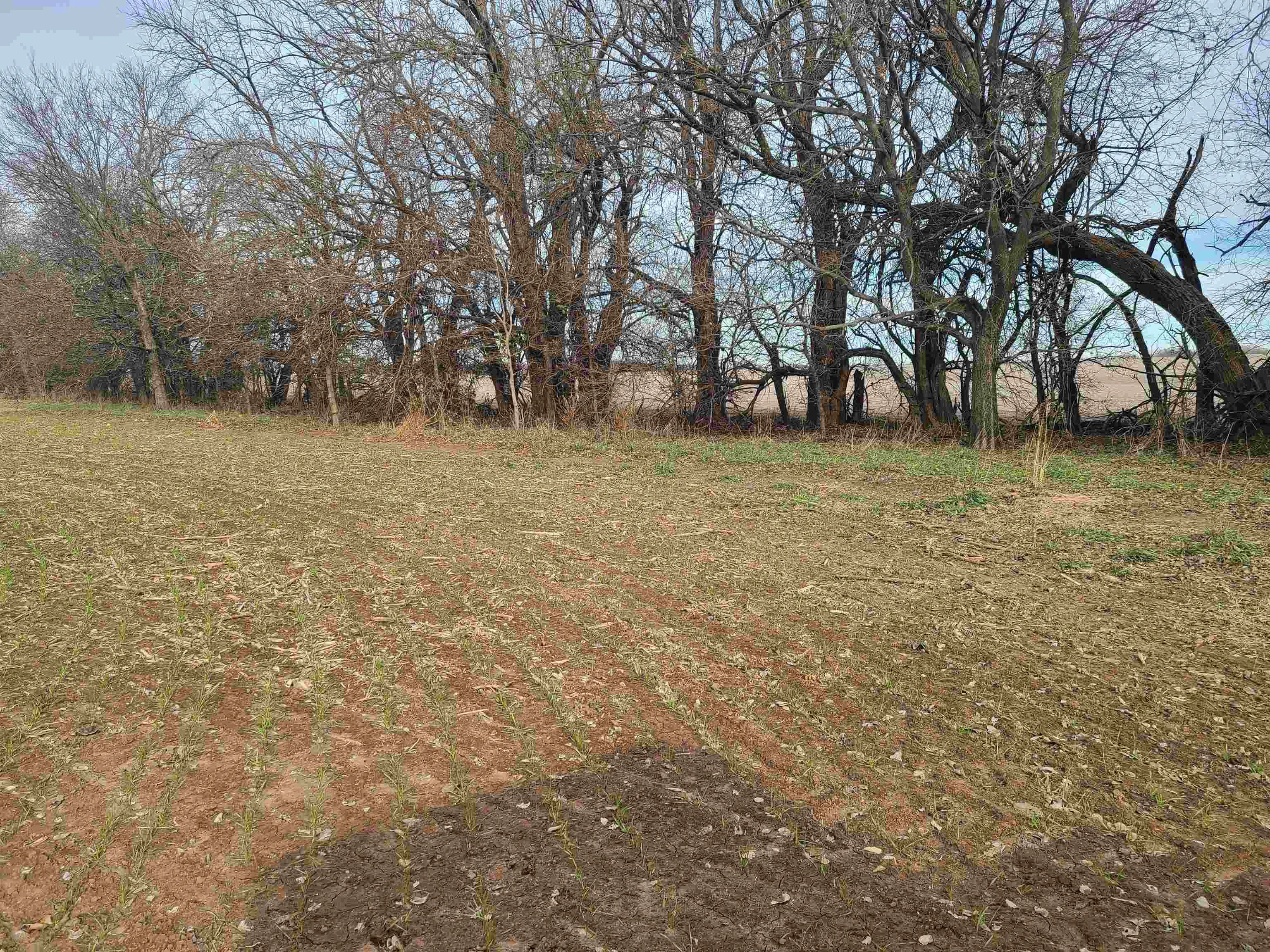 Udall, Kansas 67146, United States, ,Residential,Active,253071